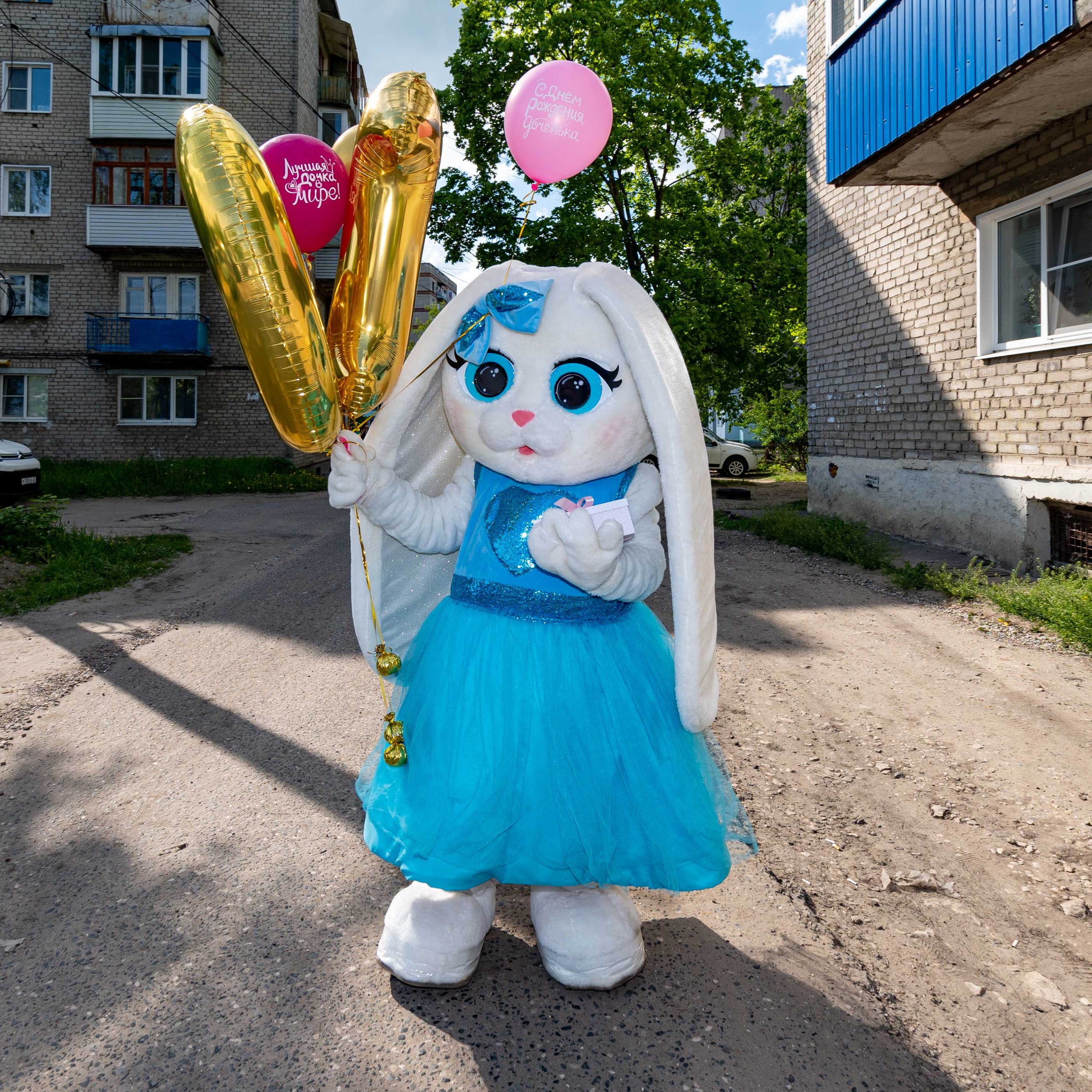 Поздравления от Мишки Тедди в Муроме