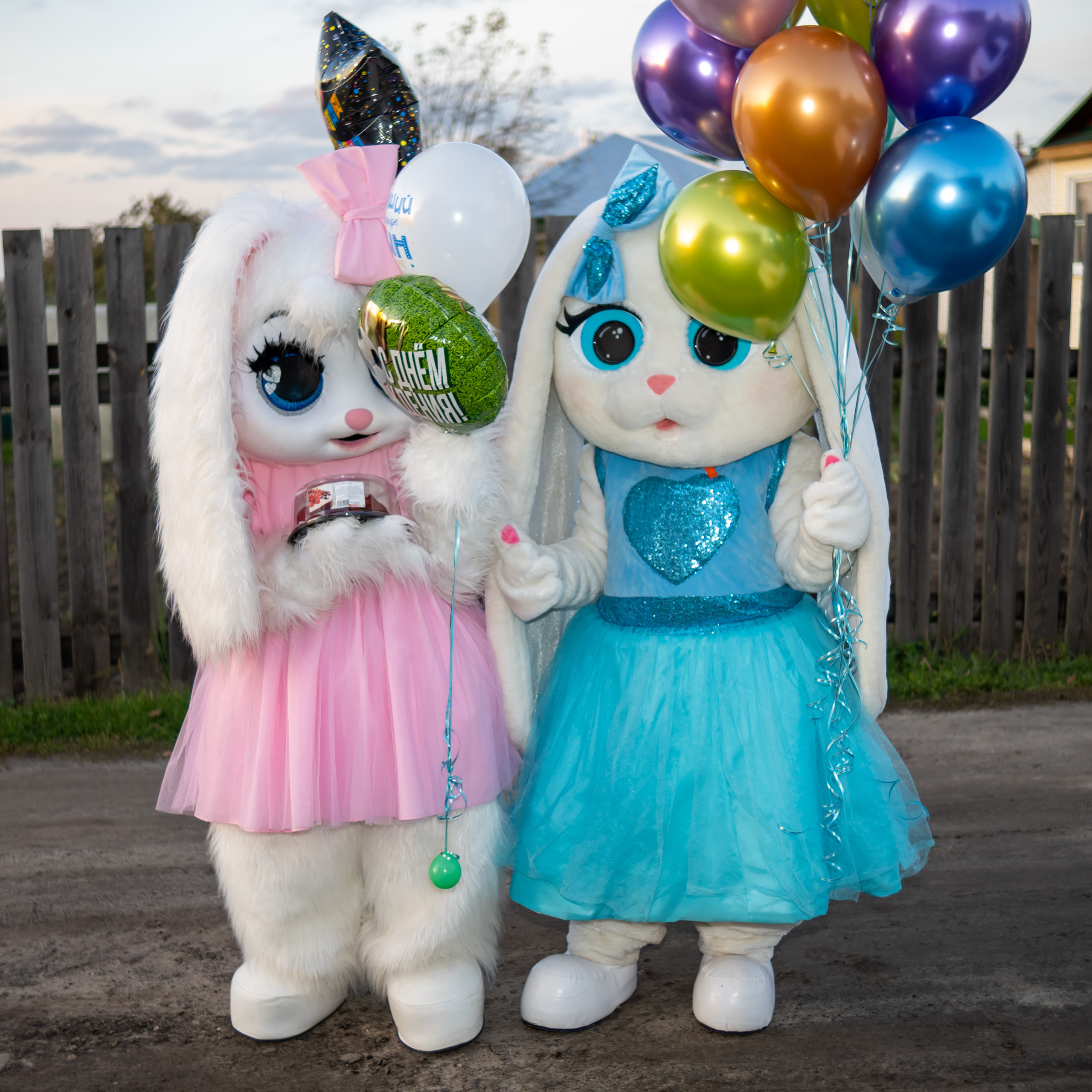 Поздравления от Мишки Тедди в Муроме