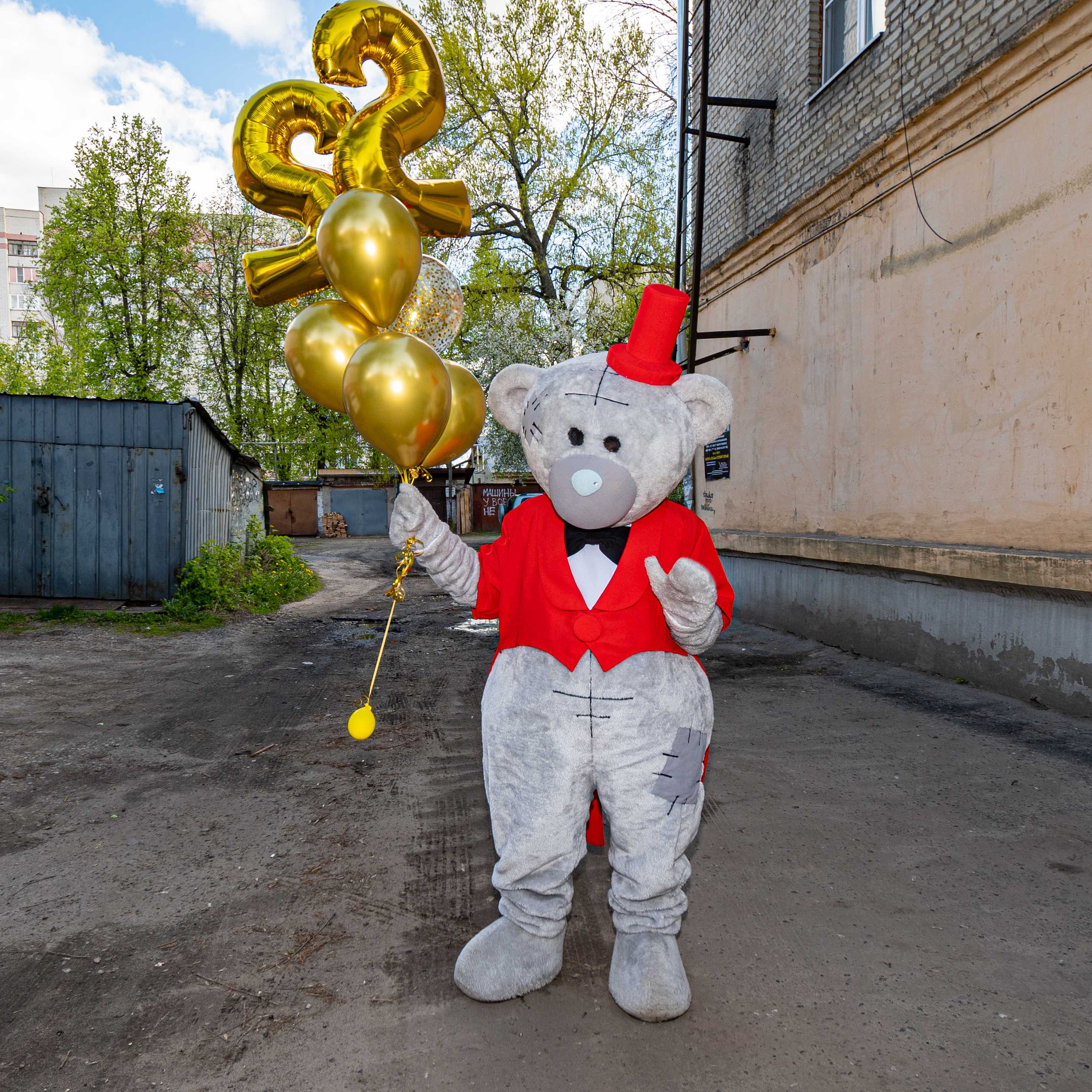 Поздравления от Мишки Тедди в Муроме