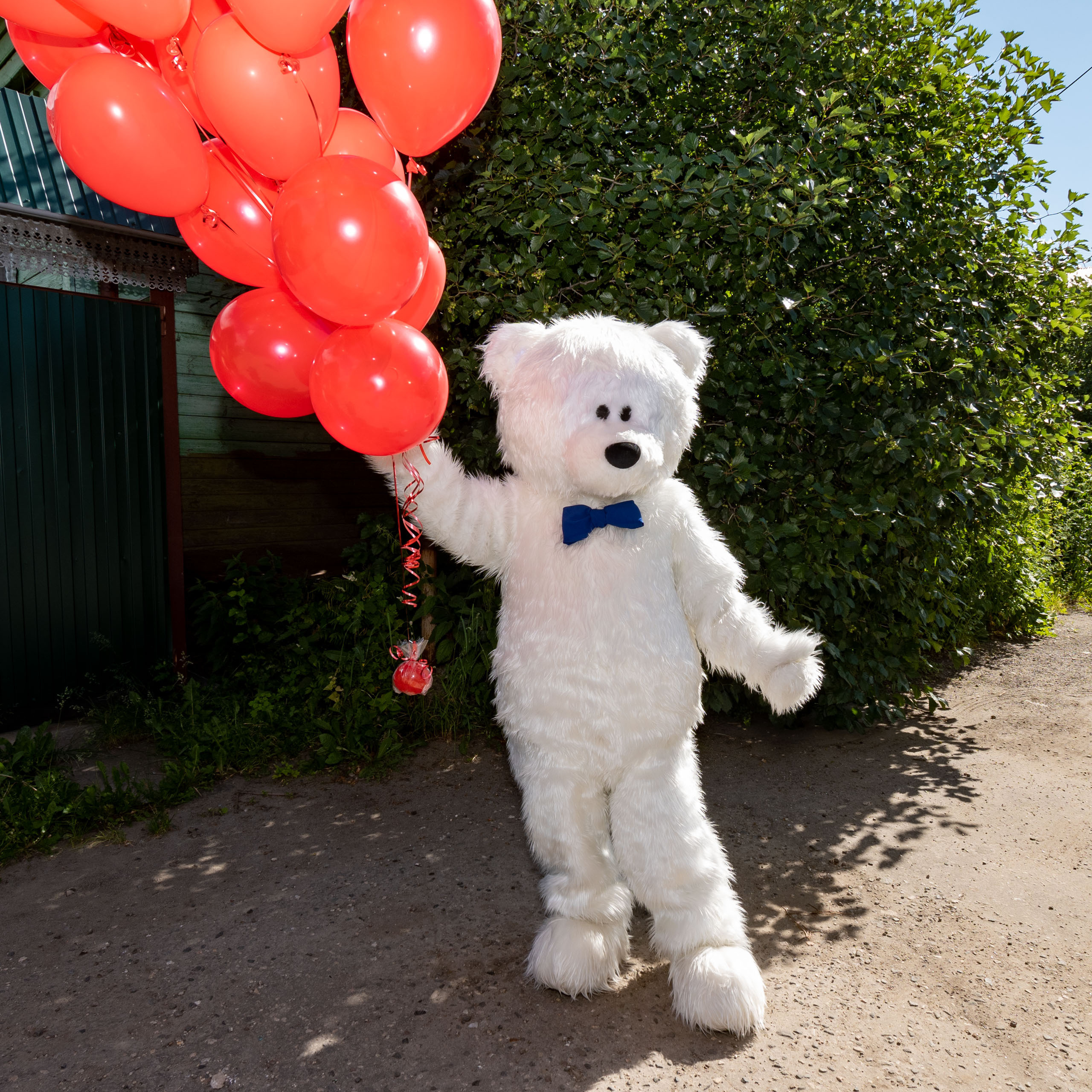 Поздравления от Мишки Тедди в Муроме