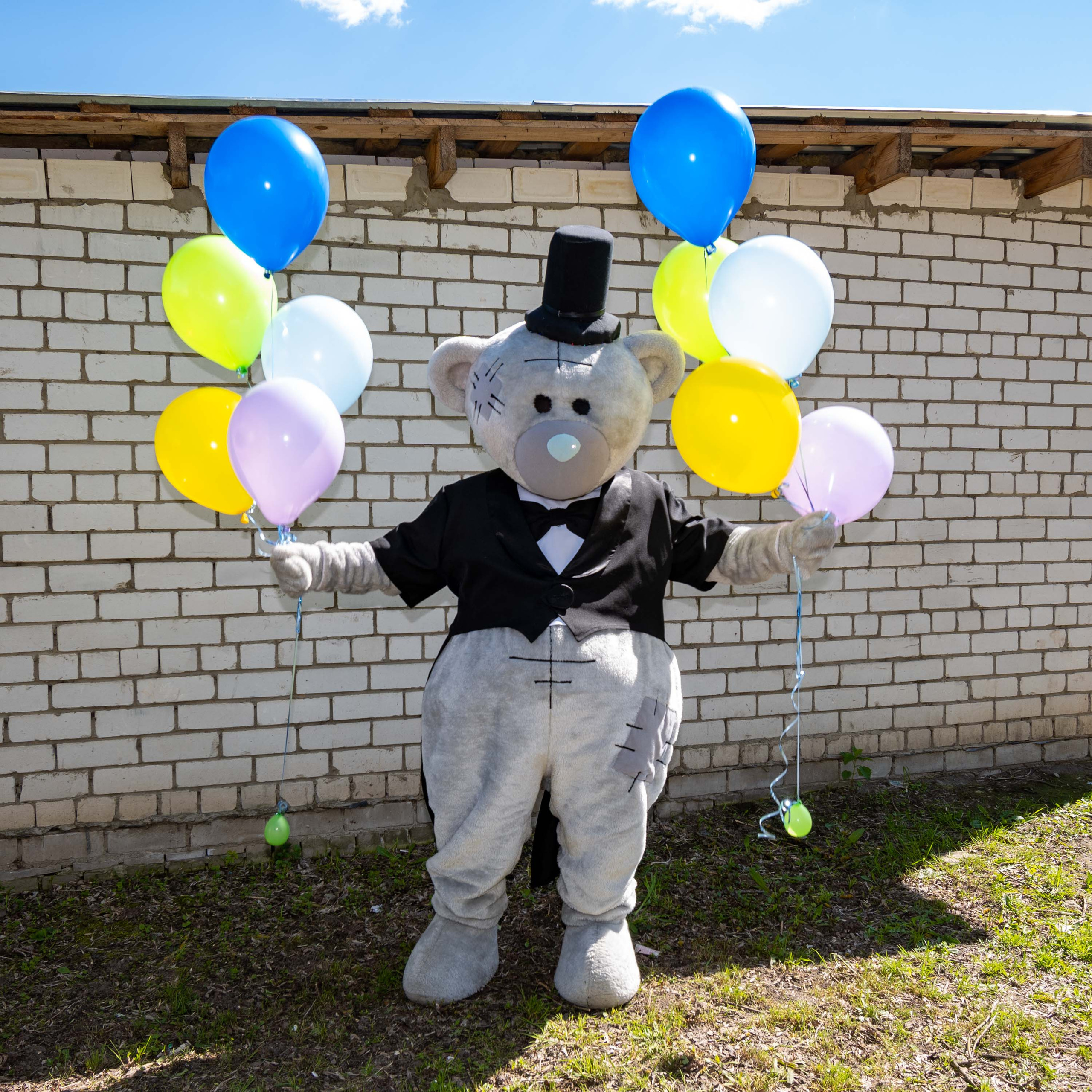Поздравления от Мишки Тедди в Муроме