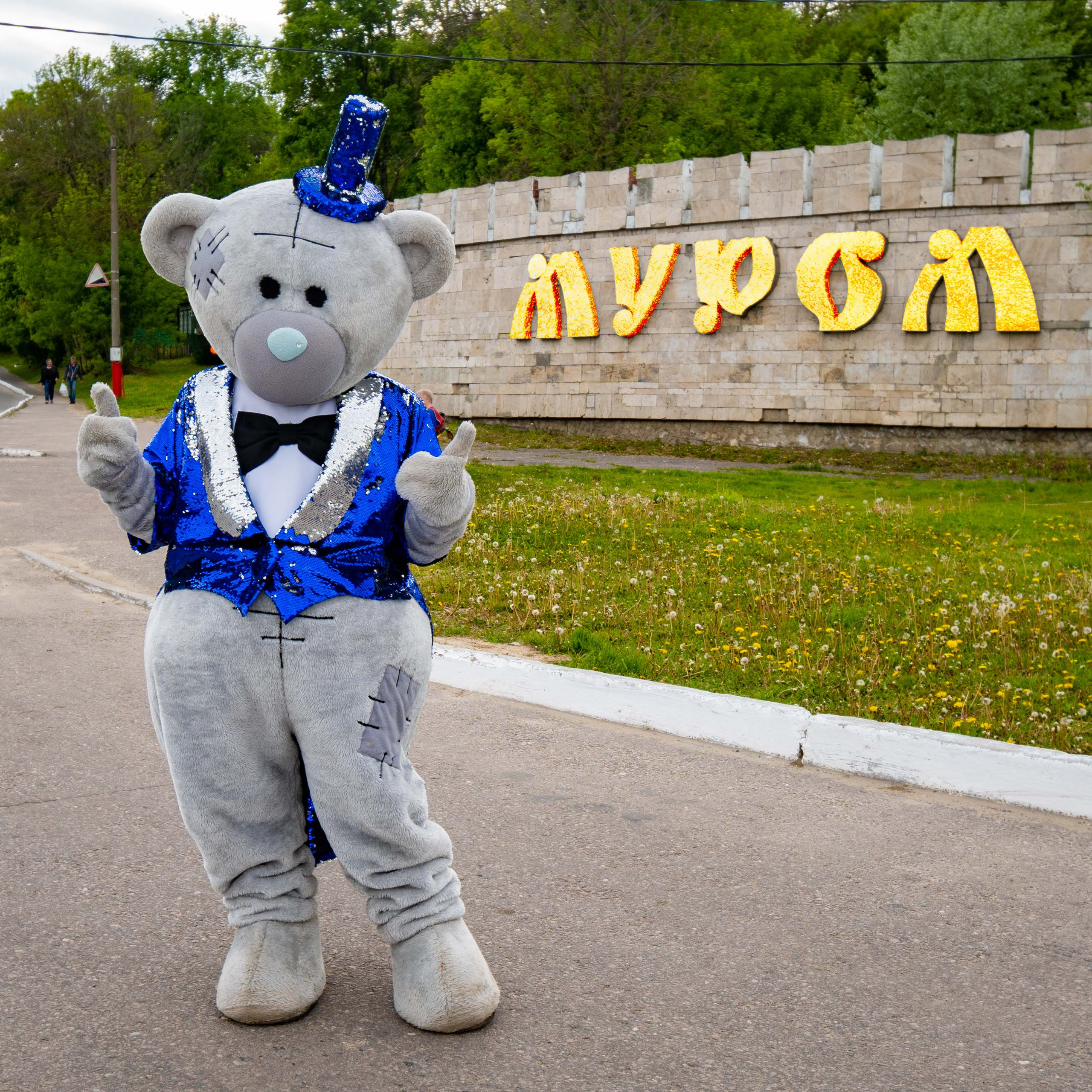 Поздравления от Мишки Тедди в Муроме