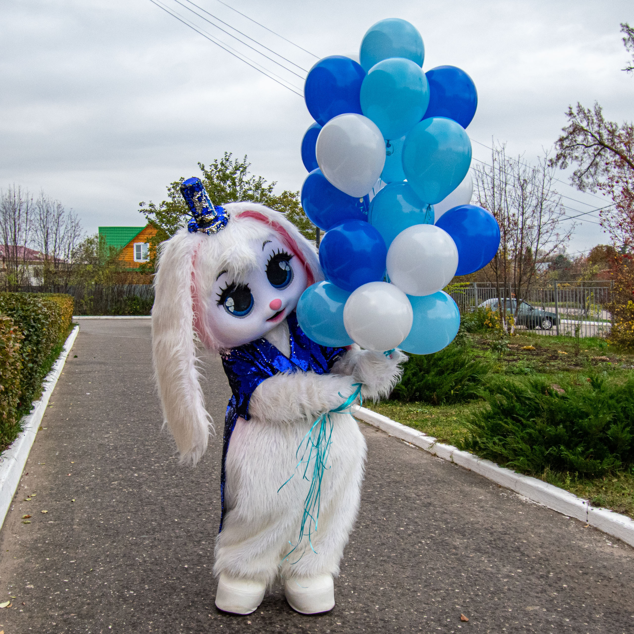 Поздравления от Мишки Тедди в Муроме