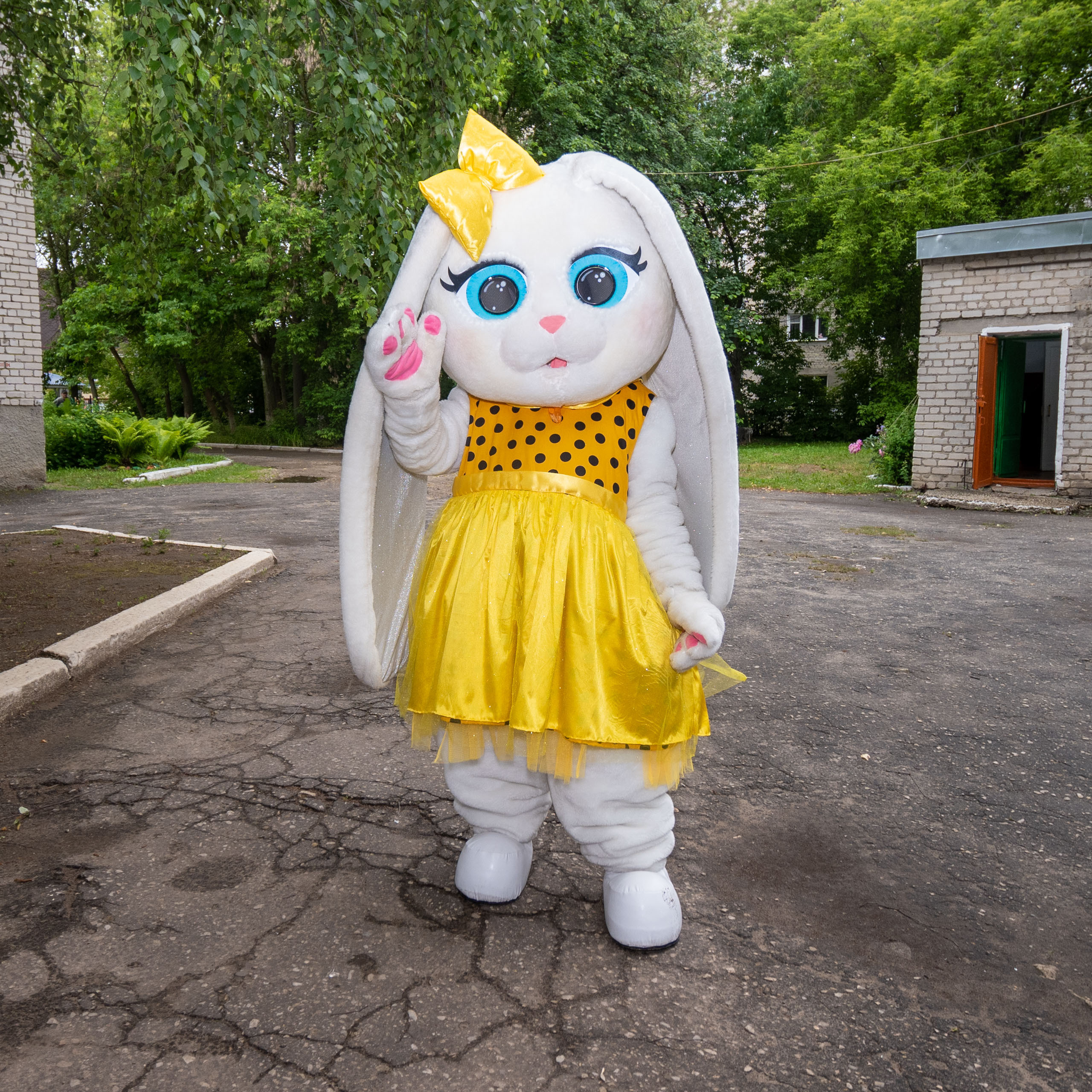 Поздравления от Мишки Тедди в Муроме