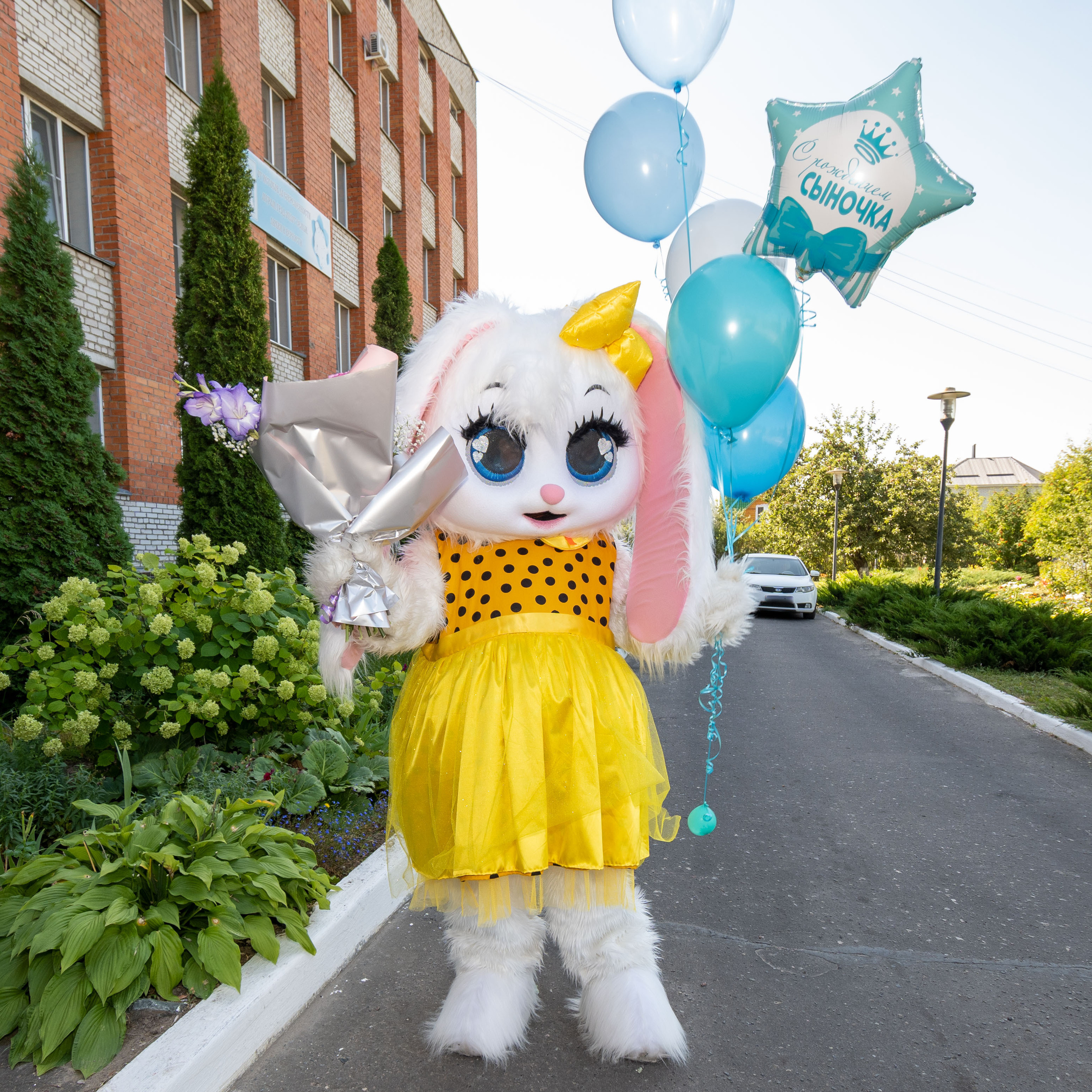 Поздравления от Мишки Тедди в Муроме