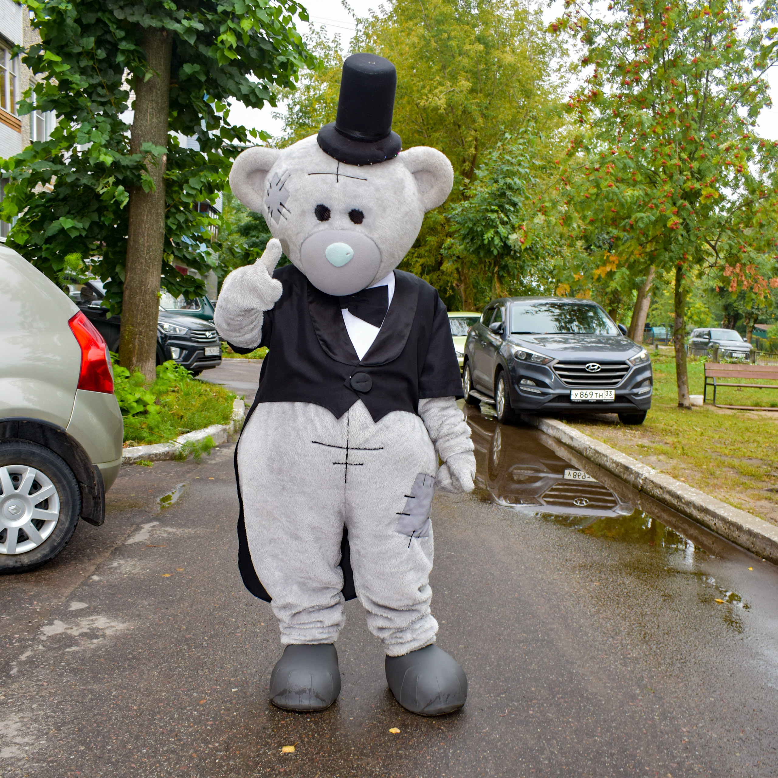 Поздравления от Мишки Тедди в Муроме