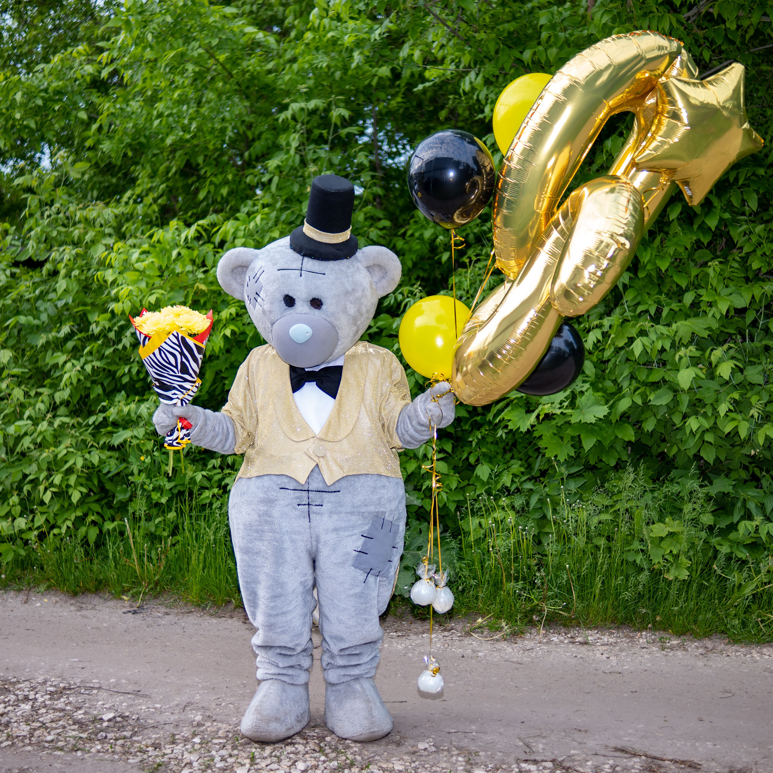 Поздравления от Мишки Тедди в Муроме