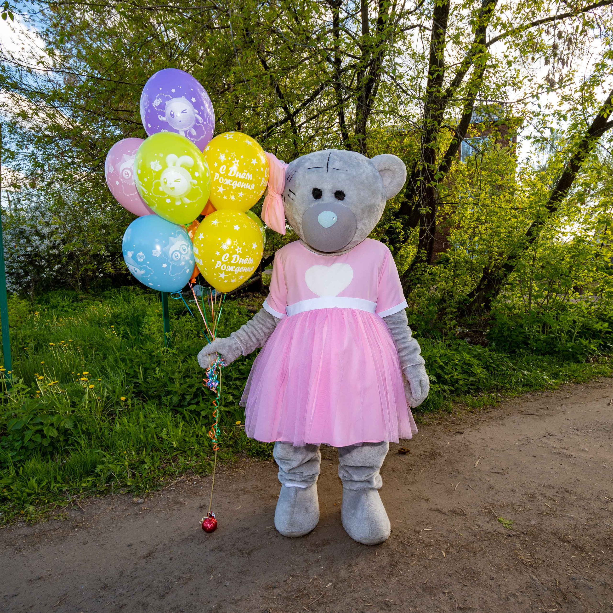 Поздравления от Мишки Тедди в Муроме