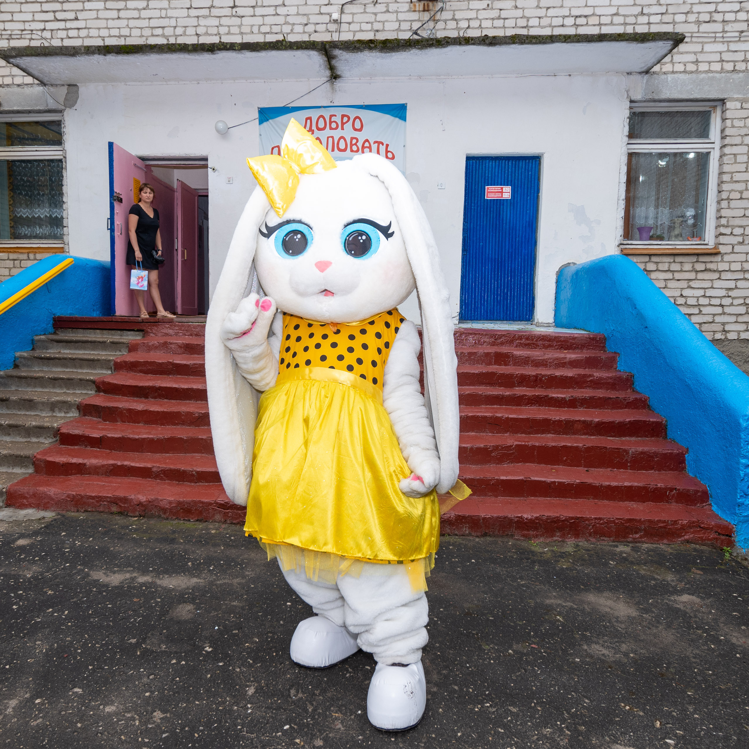 Поздравления от Мишки Тедди в Муроме