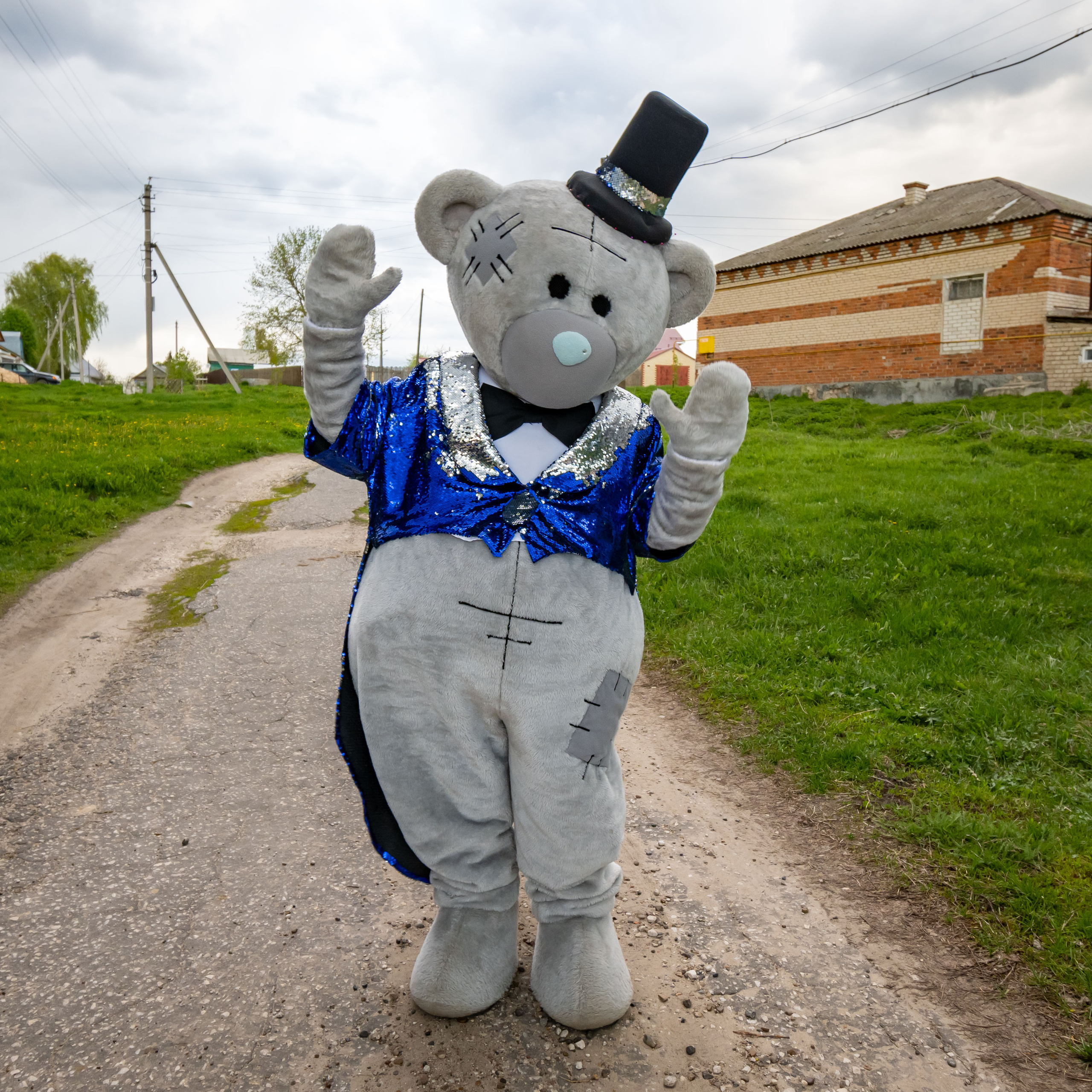Поздравления от Мишки Тедди в Муроме