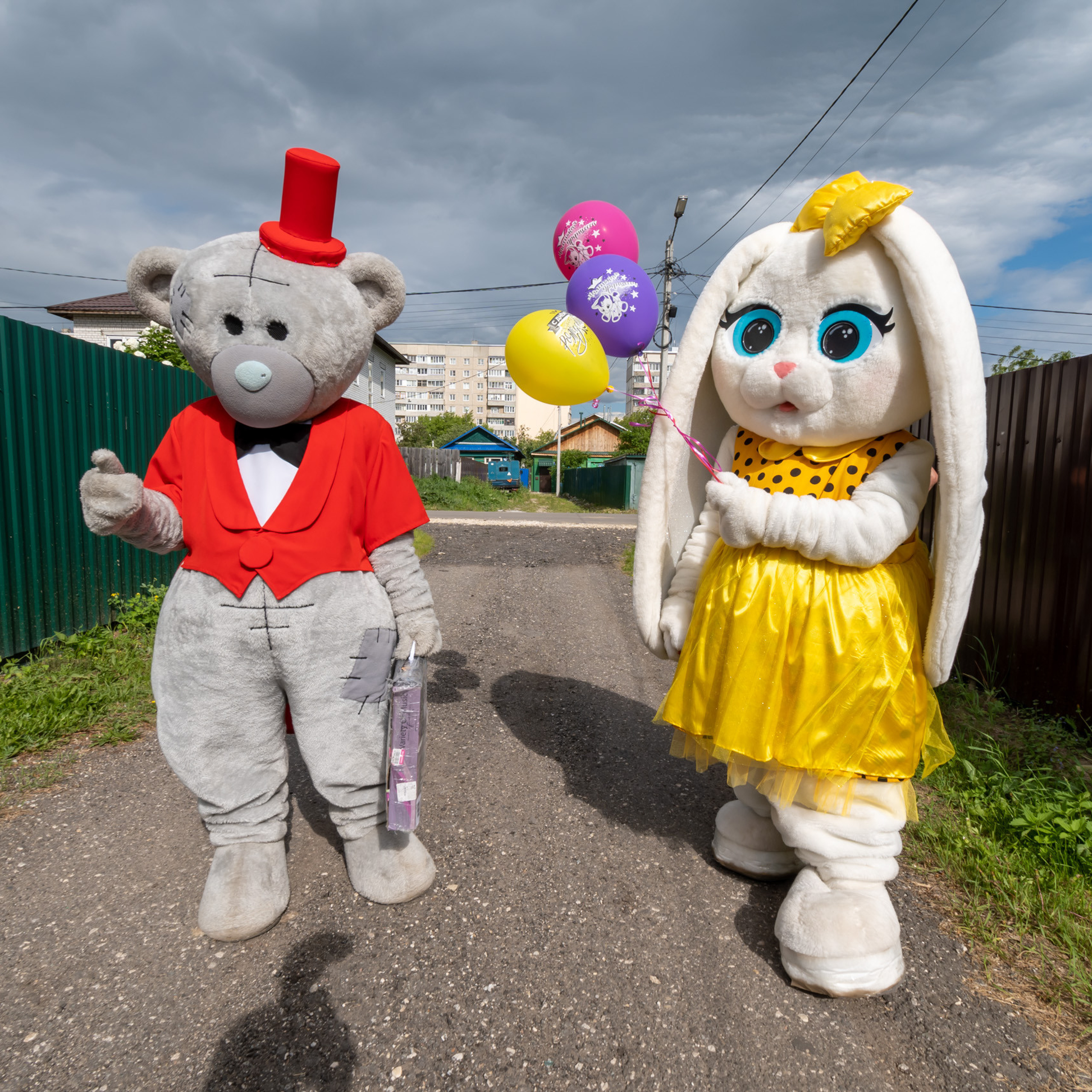Поздравления от Мишки Тедди в Муроме