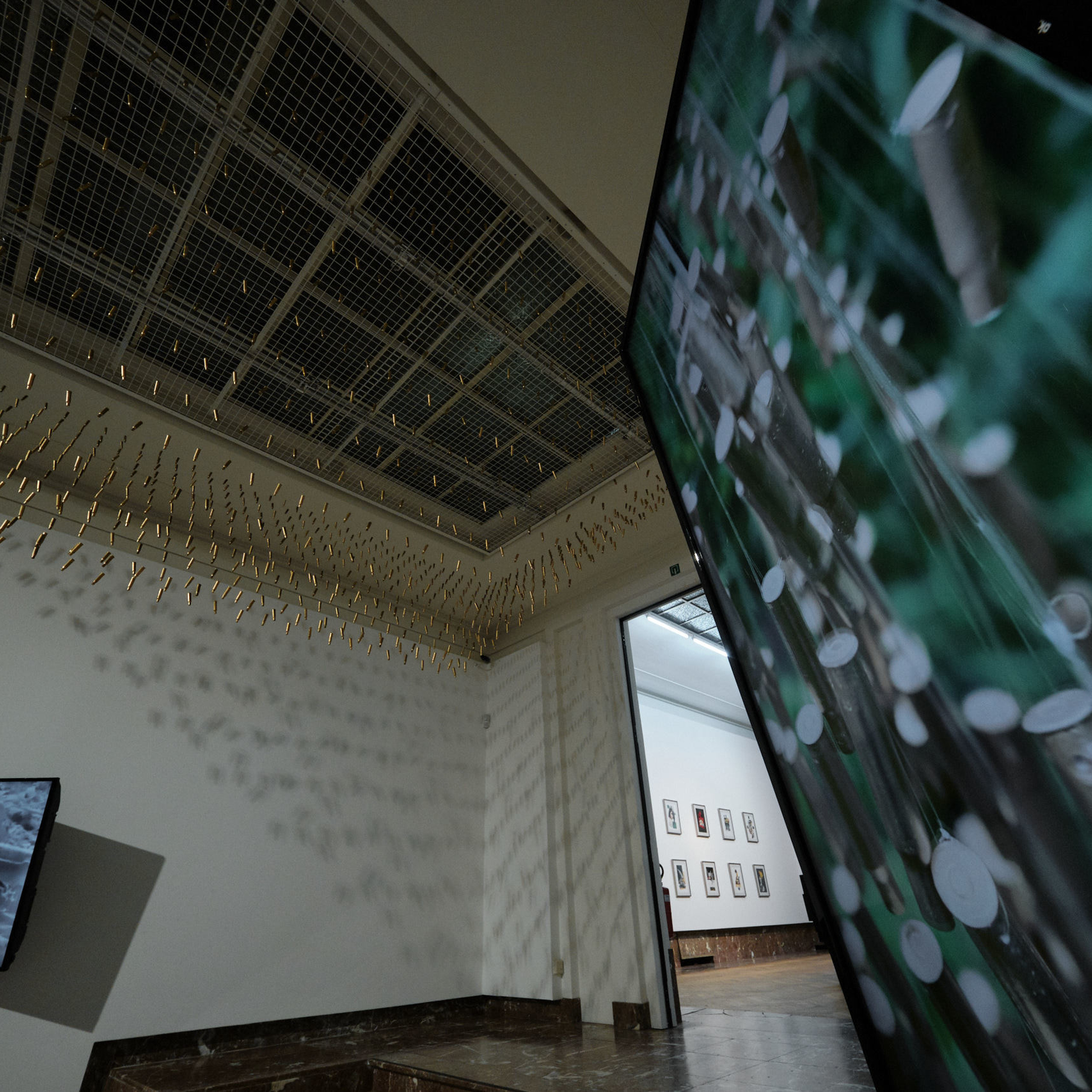 VORTEX. Inna Dodiomova artist