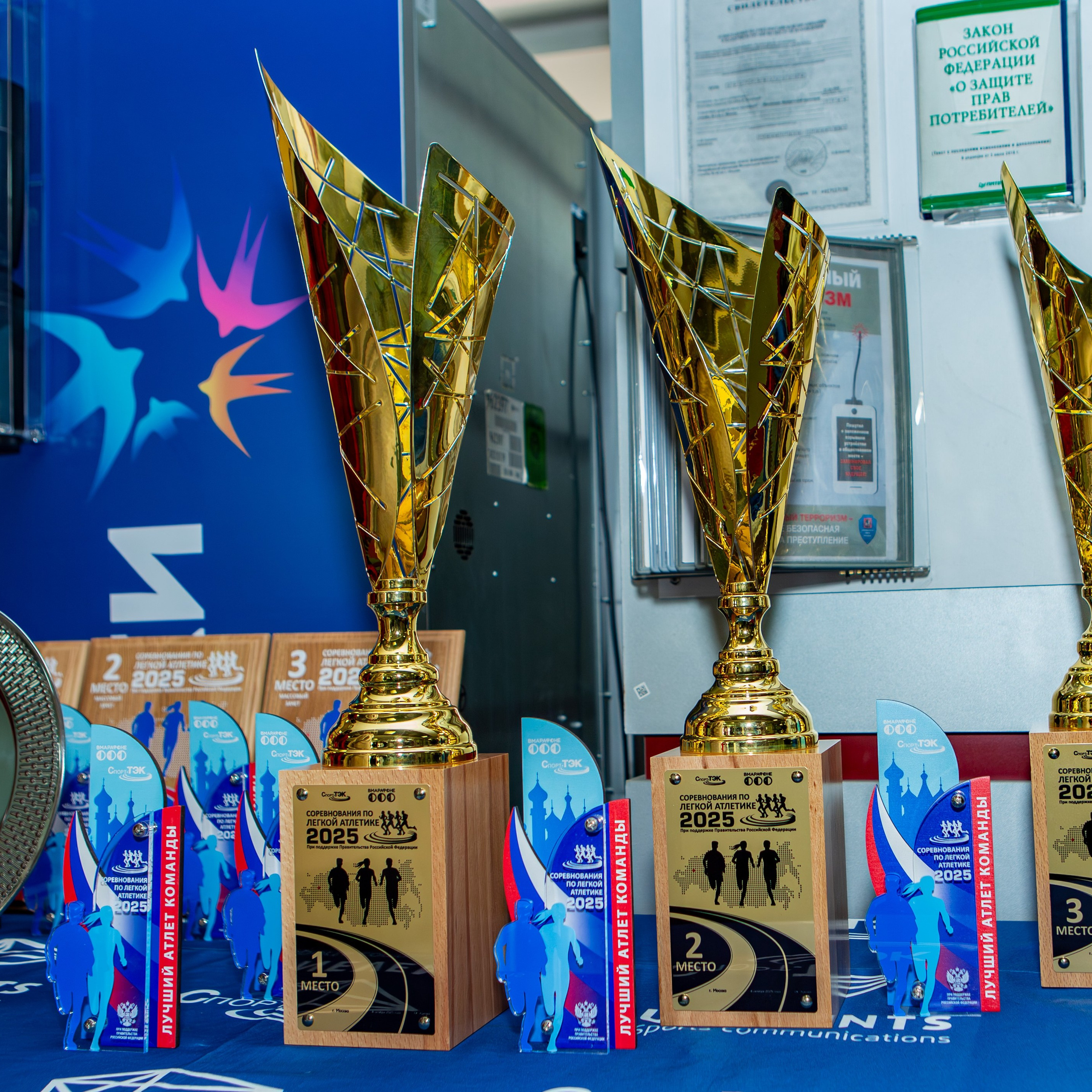 Соревнования по легкой атлетике