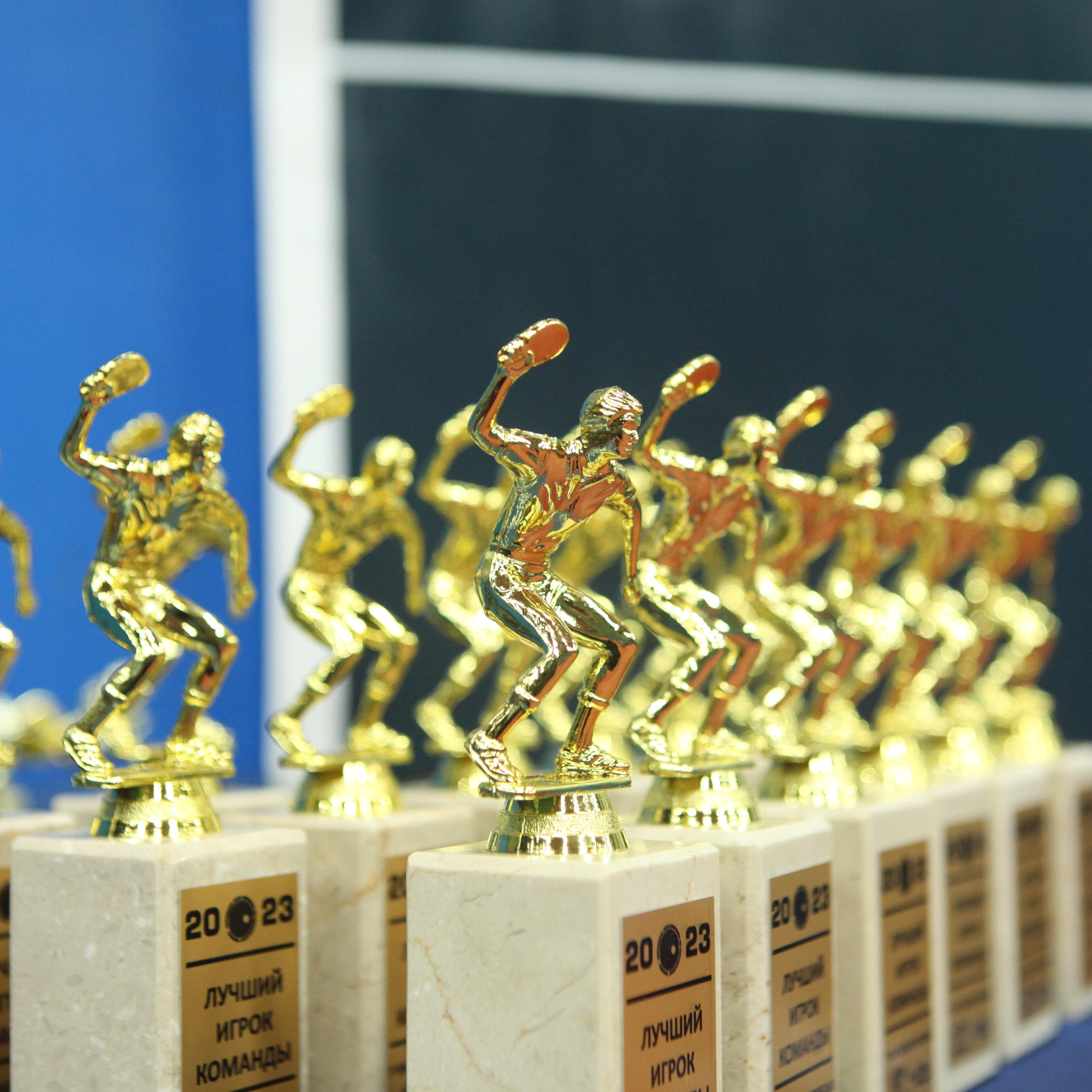 Чемпионат по настольному теннису.