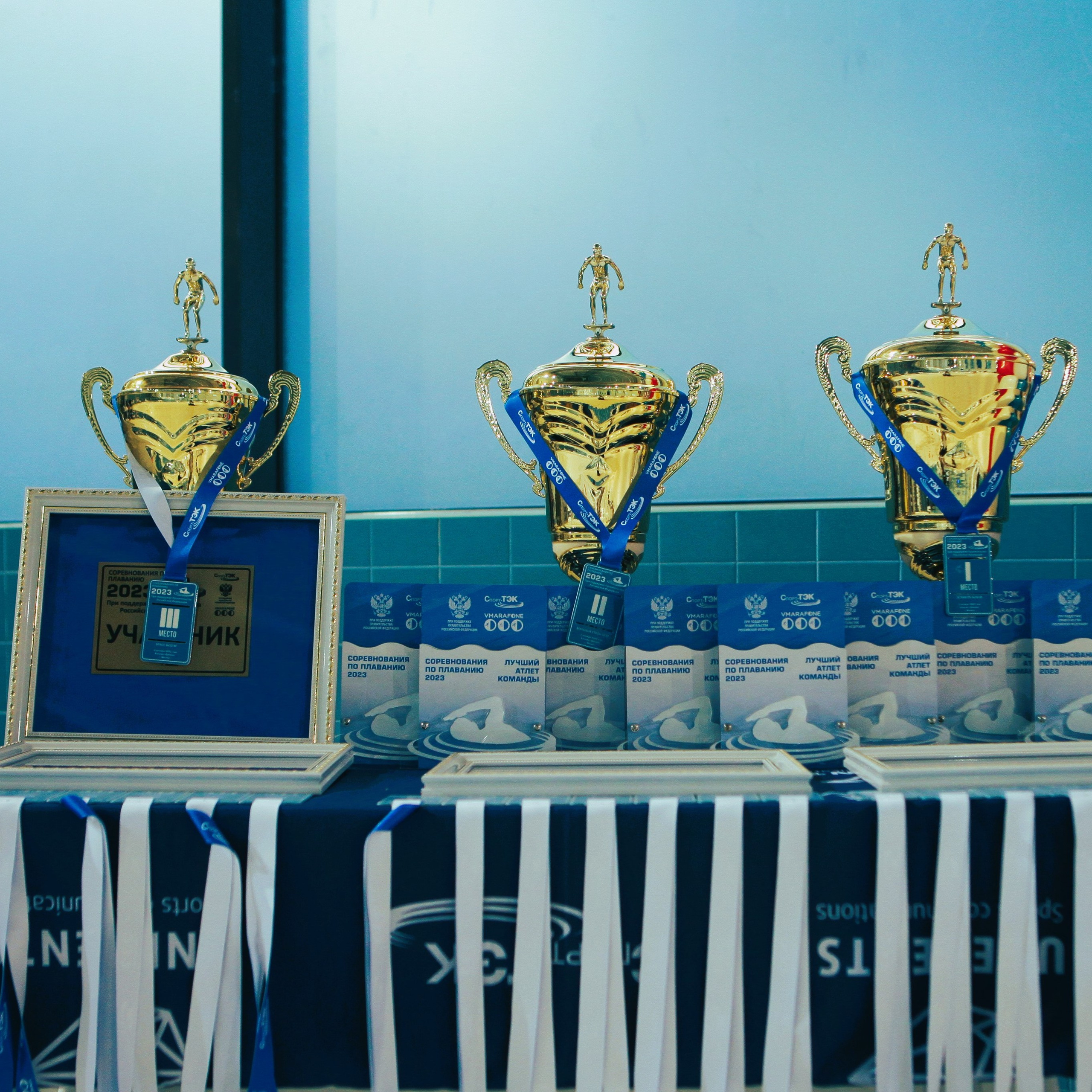 Соревнования по плаванию