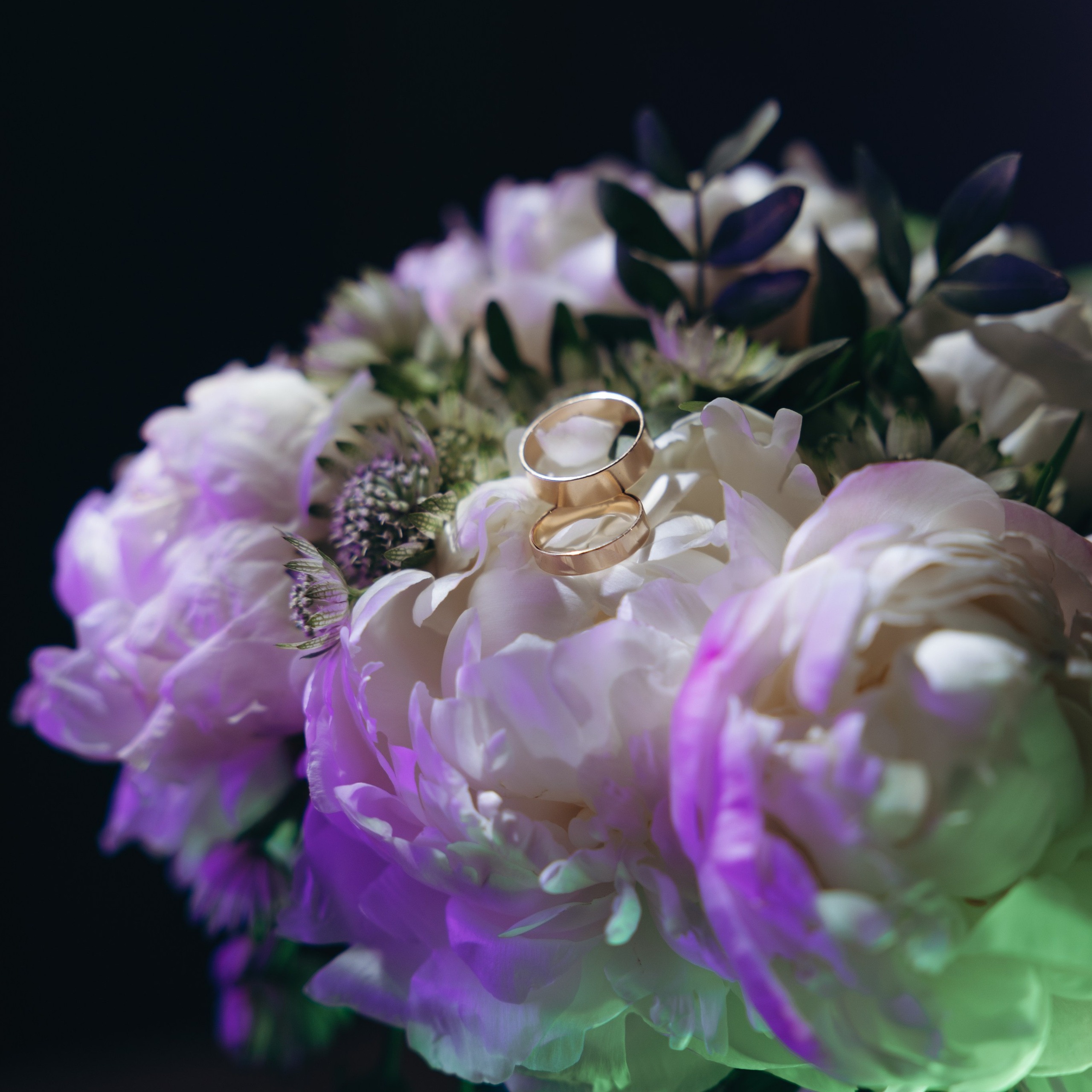 НИКИТА+НИКА. Свадебные фотограф и видеограф в Новосибирске — БОС