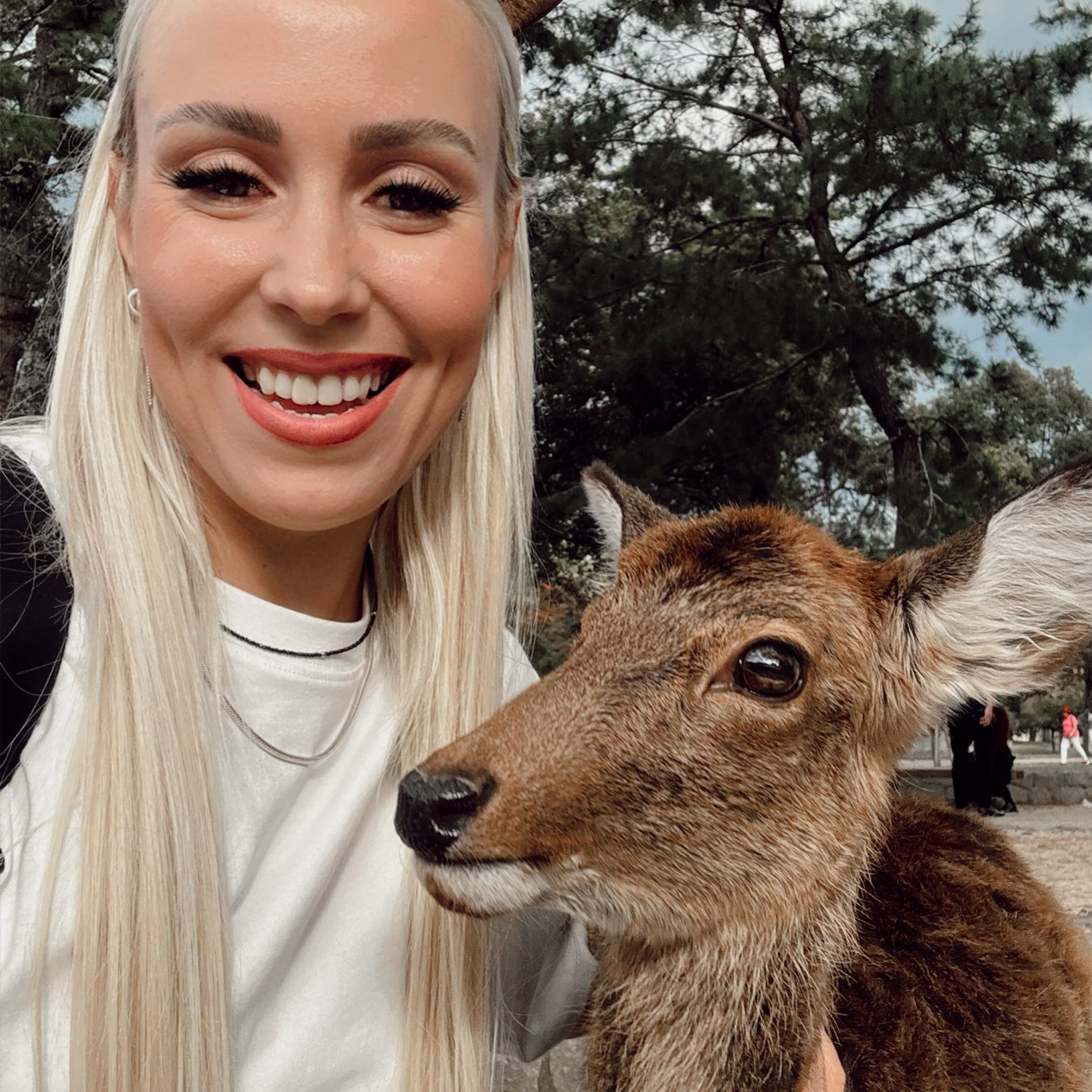 ЯПОНИЯ — КОРЕЯ 2.0 май.2026 идет набор. Авторские туры для девушек. путешествия, тут можно купить тур