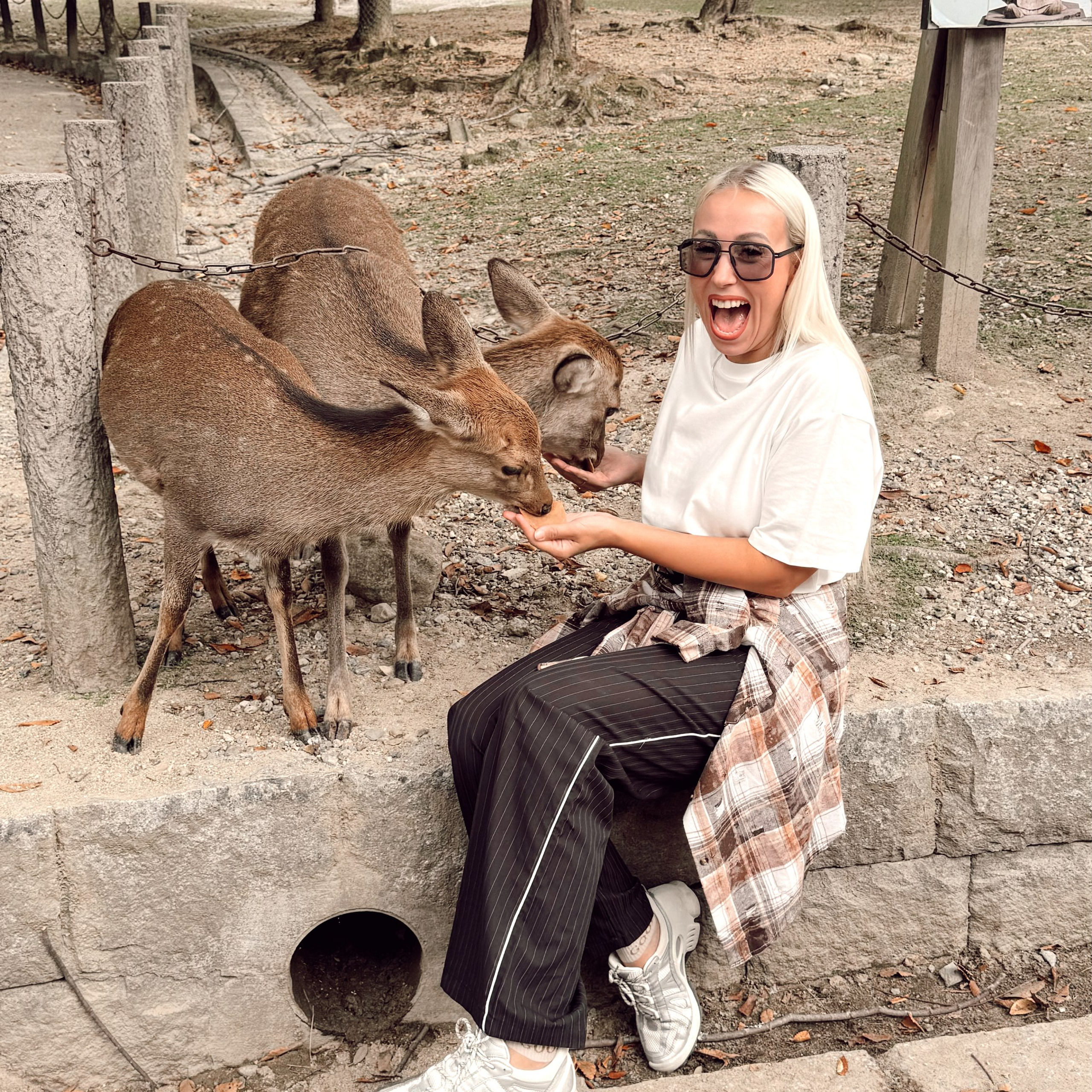 ЯПОНИЯ — КОРЕЯ 2.0 май.2026 идет набор. Авторские туры для девушек. путешествия, тут можно купить тур