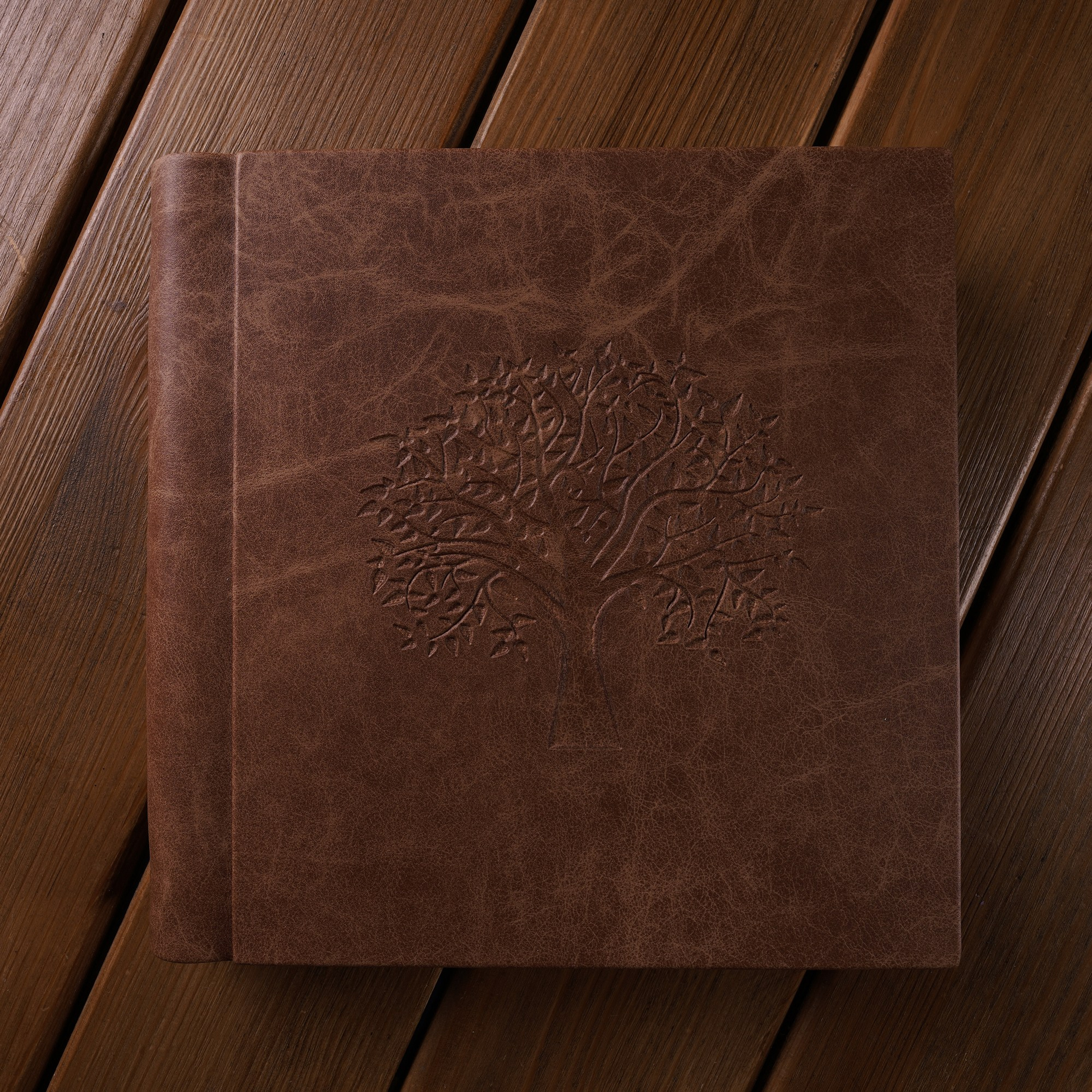 Семейная съемка