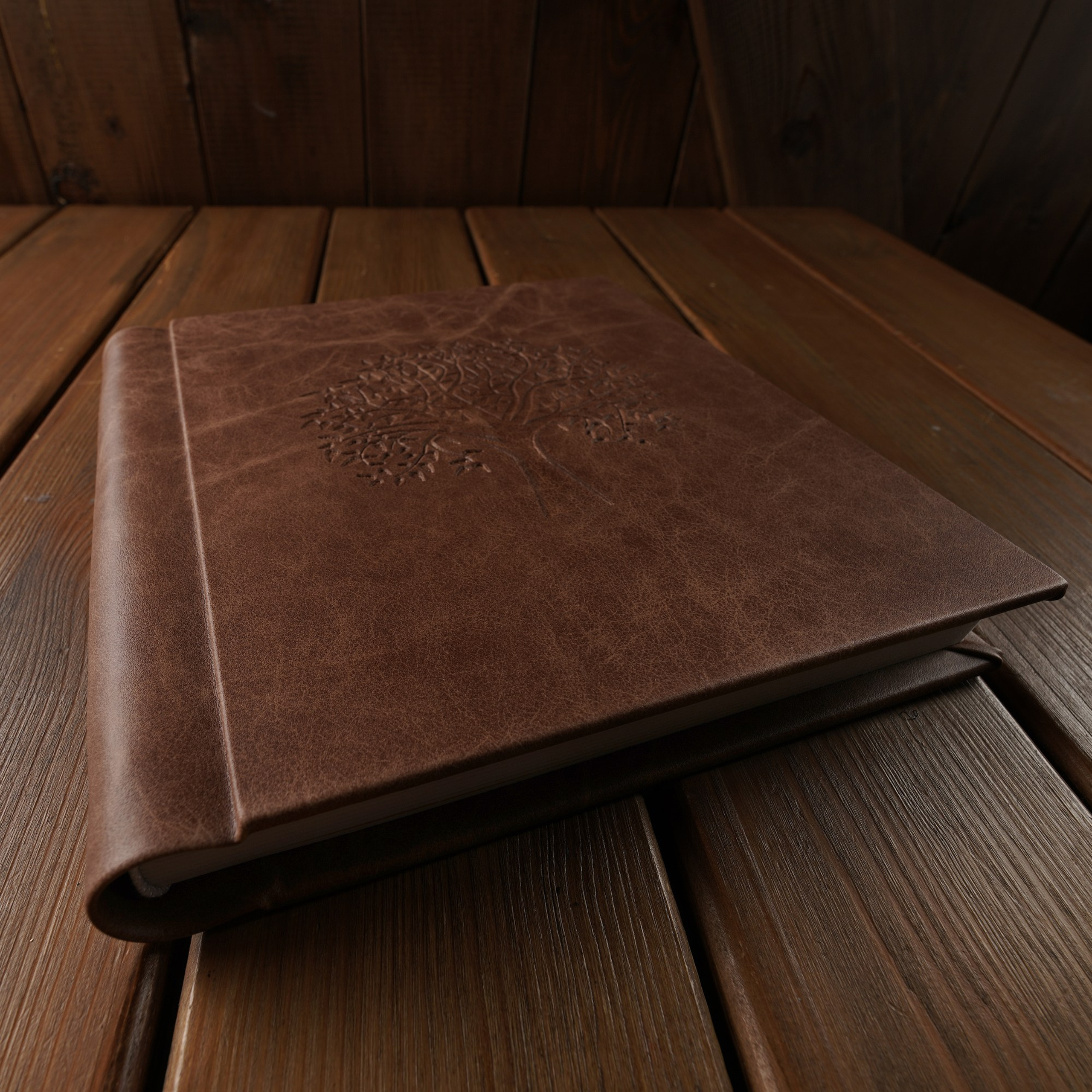 Семейная съемка