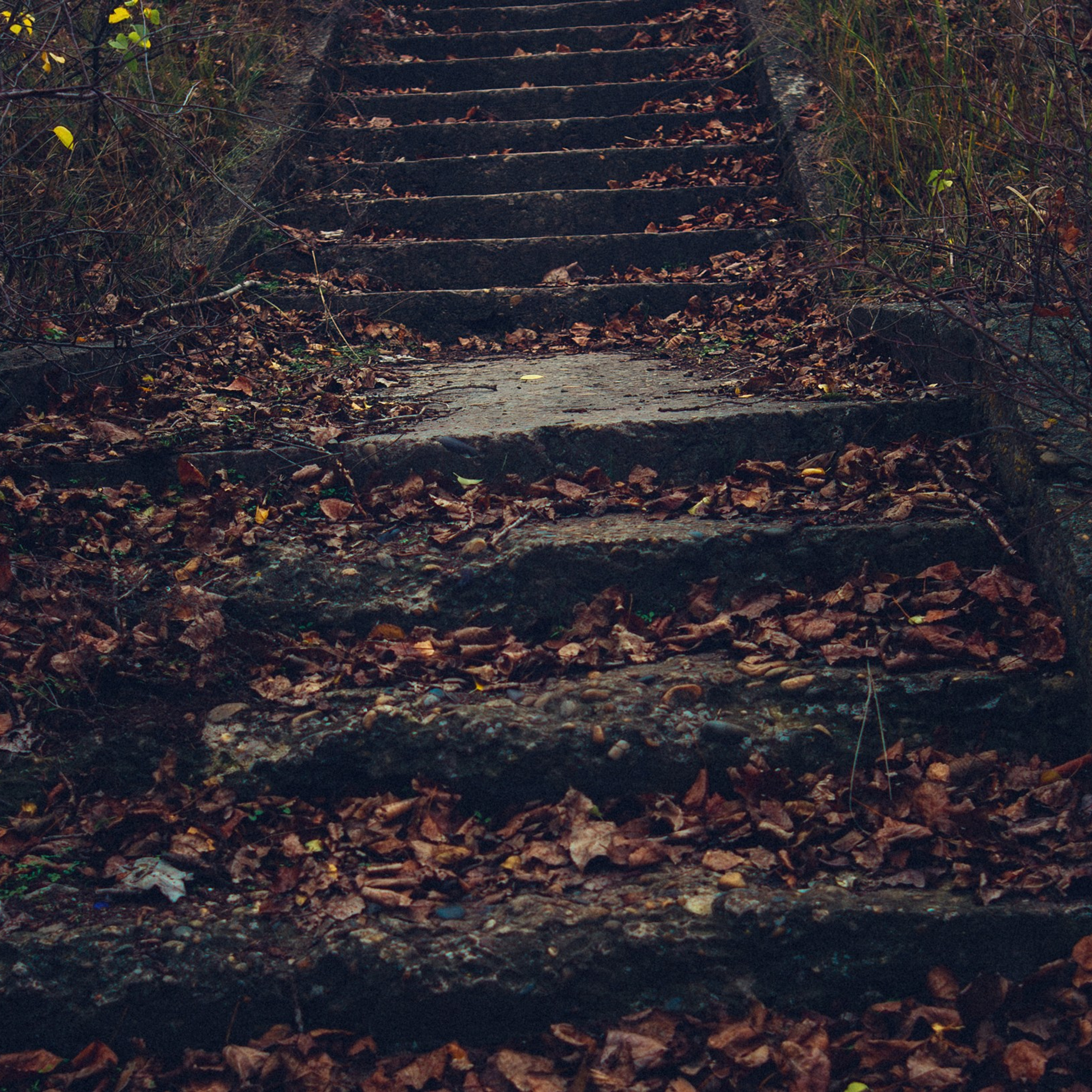 Андрей Сливенко. Свадебный фотограф и видеограф в Волгодонске и Ростове-на-Дону