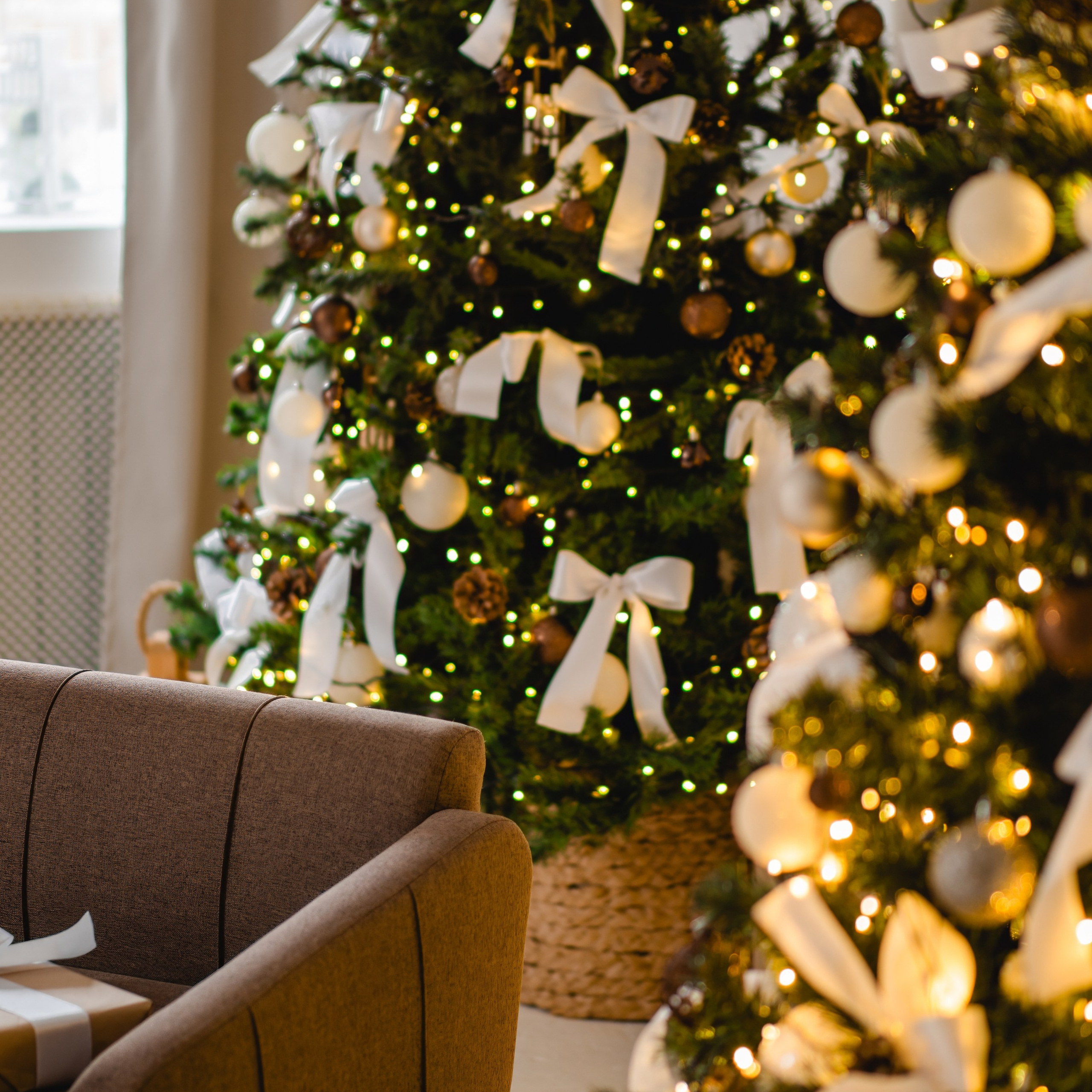 Новогодняя фотосессия во Владимире