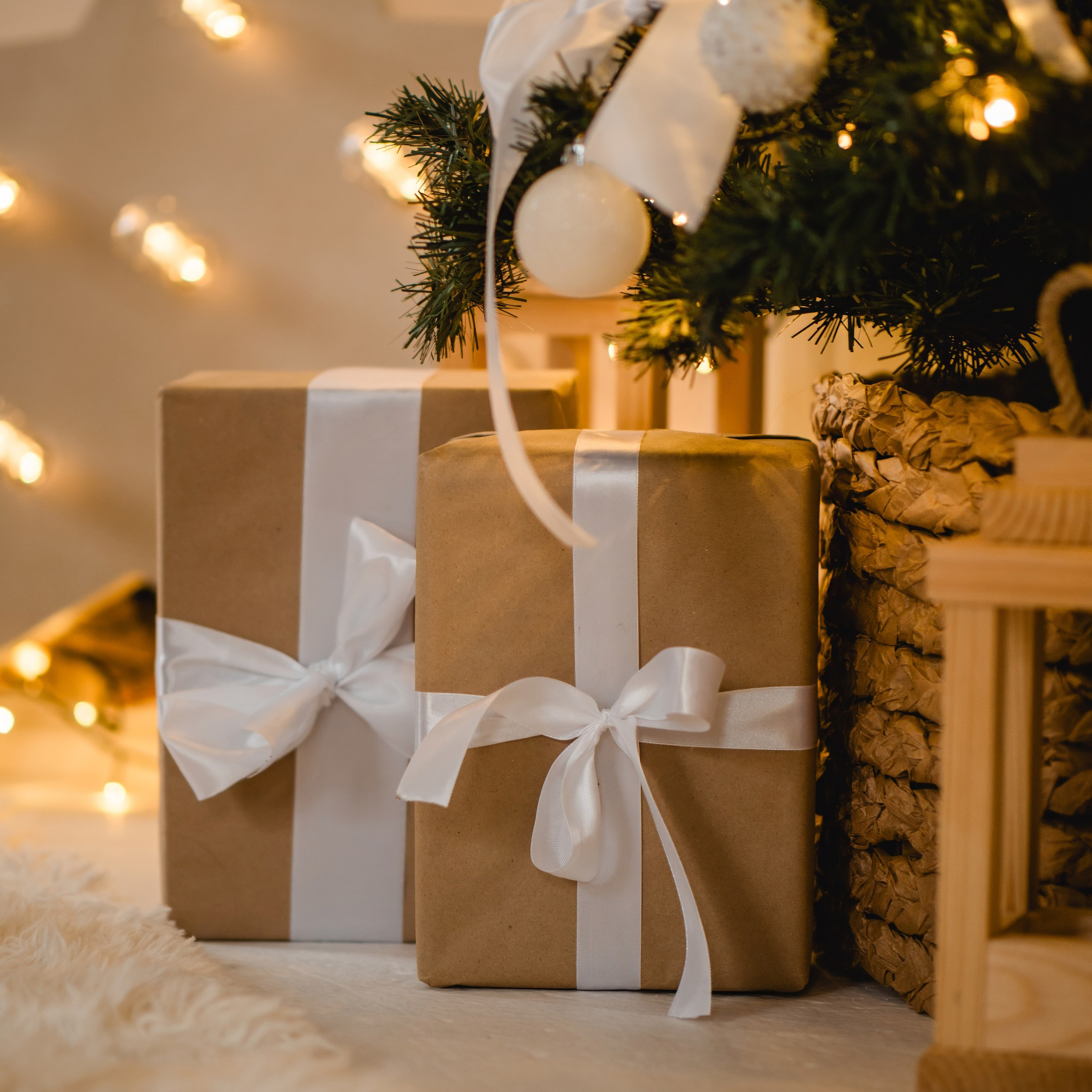 Новогодняя фотосессия во Владимире