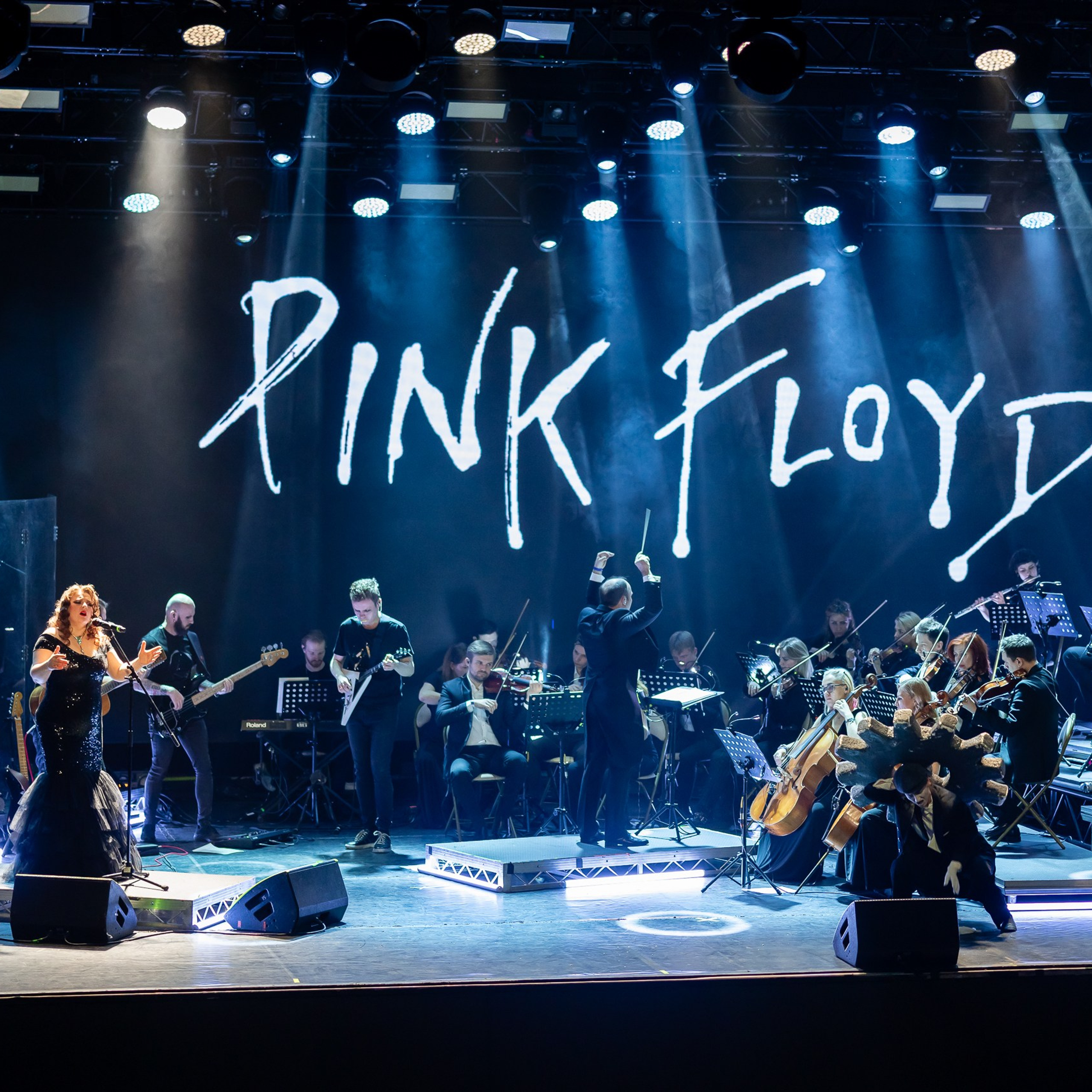 Прошедшие фотосъемки. Репортажи с мероприятий. Фотограф в Санкт-Петербурге — Сергей Петров