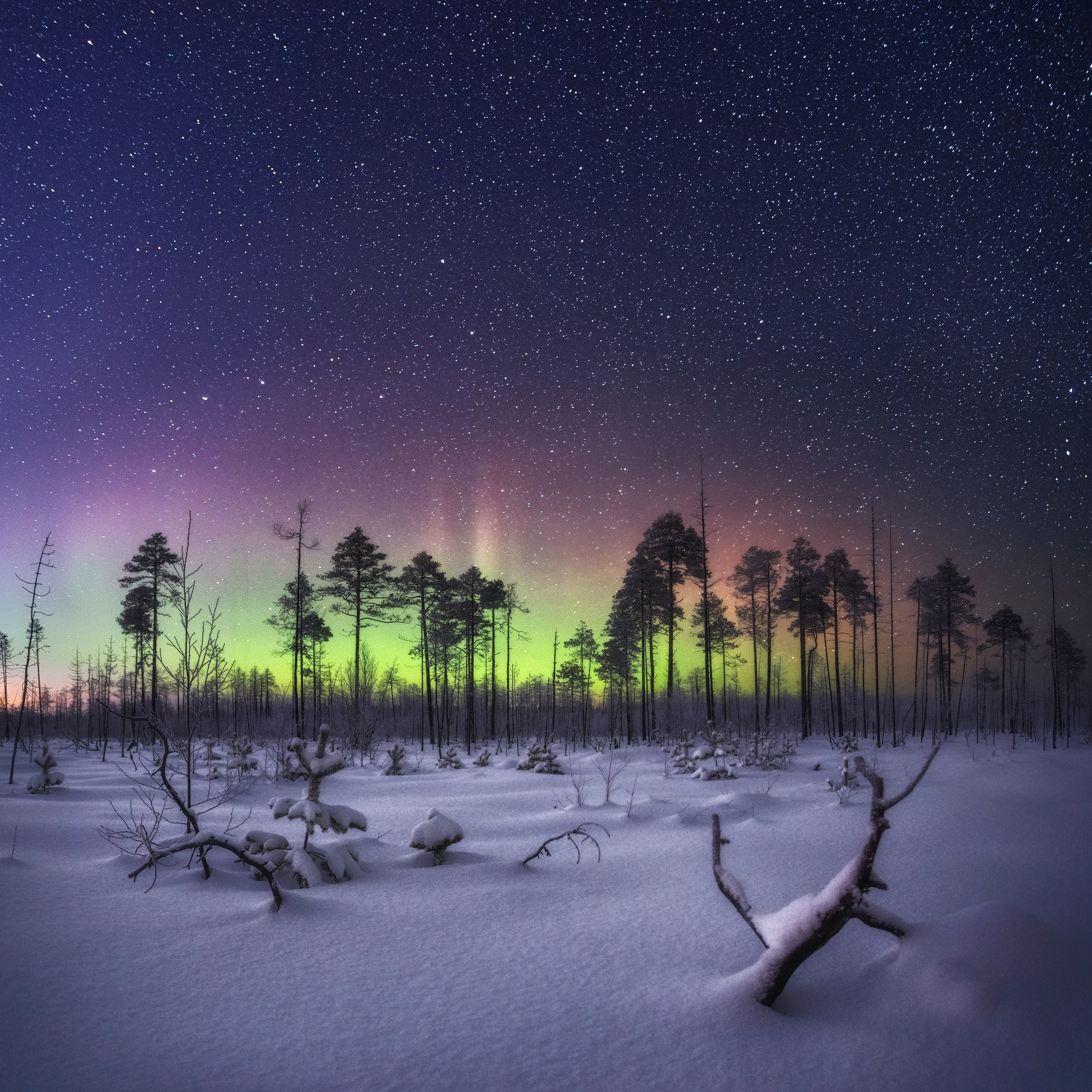 Выступление на закрытии XVIII сезона фестиваля ЗОЛОТАЯ ЧЕРЕПАХА. Professional landscape and advertising photographer Chalanov Ivan
