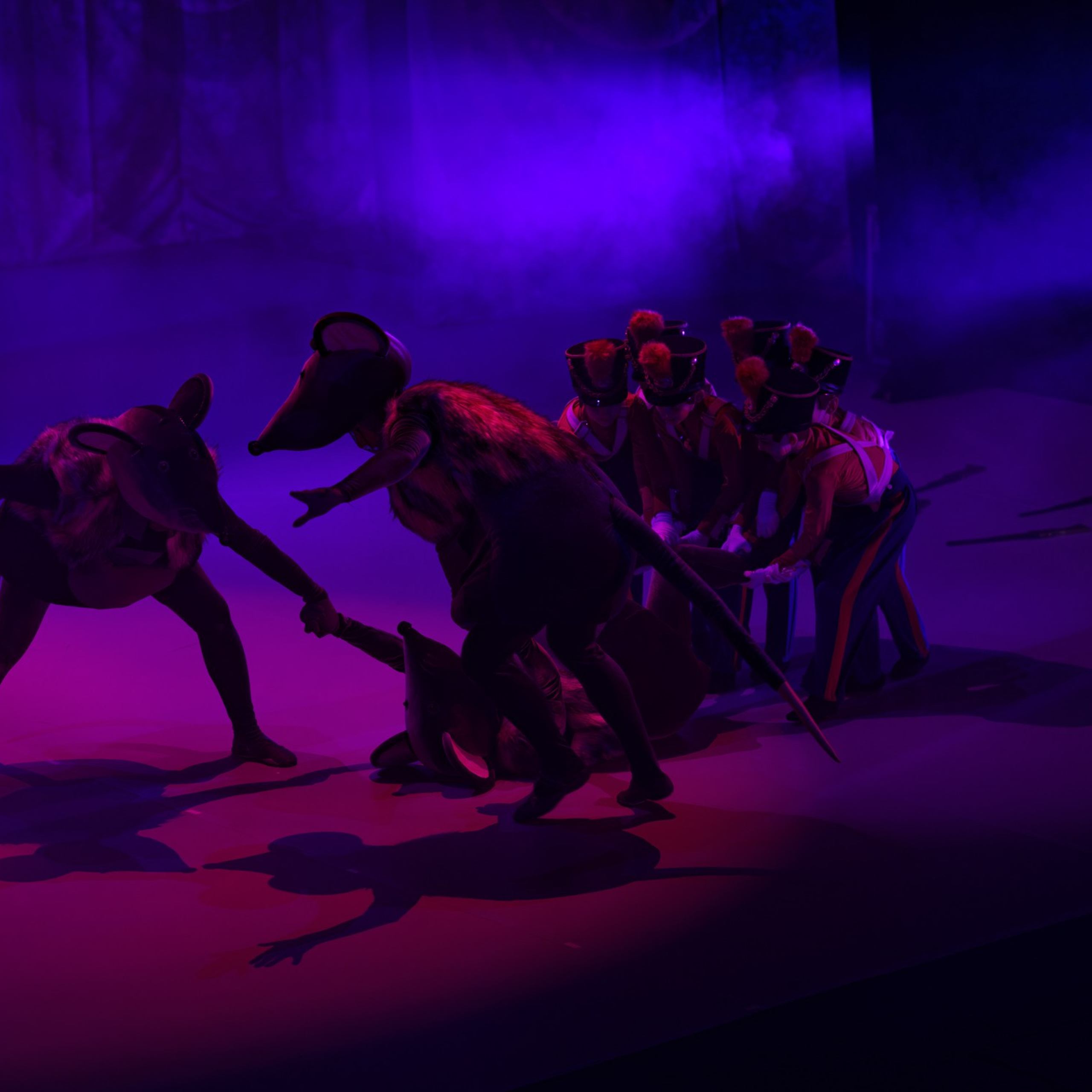 Репортаж для СГАХ в г. Севастополь, Щелкунчик, спектакль. Виктория Беник