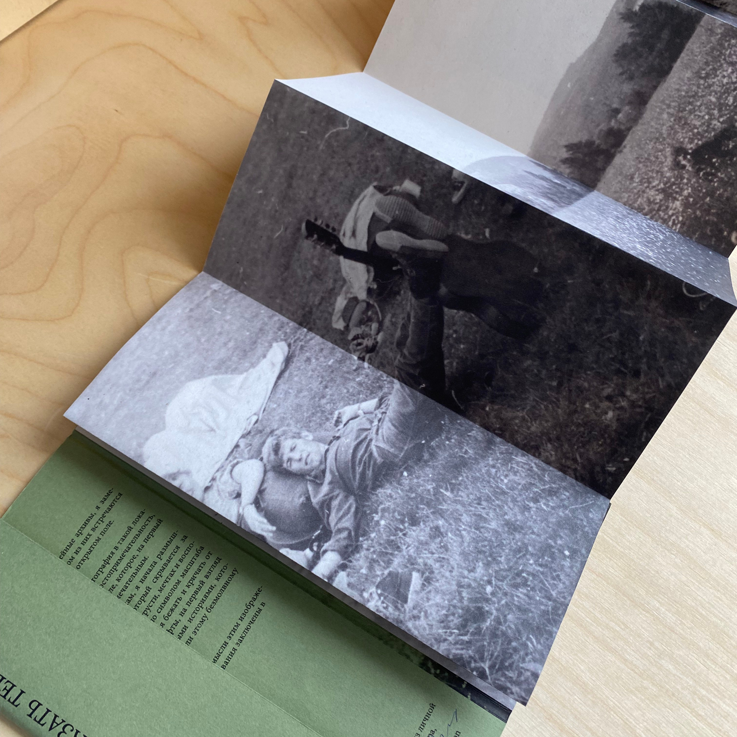 ОБЗОР АКТУАЛЬНЫХ ФОТОКНИГ: Листы I–XXXI. Самоорганизация Низина