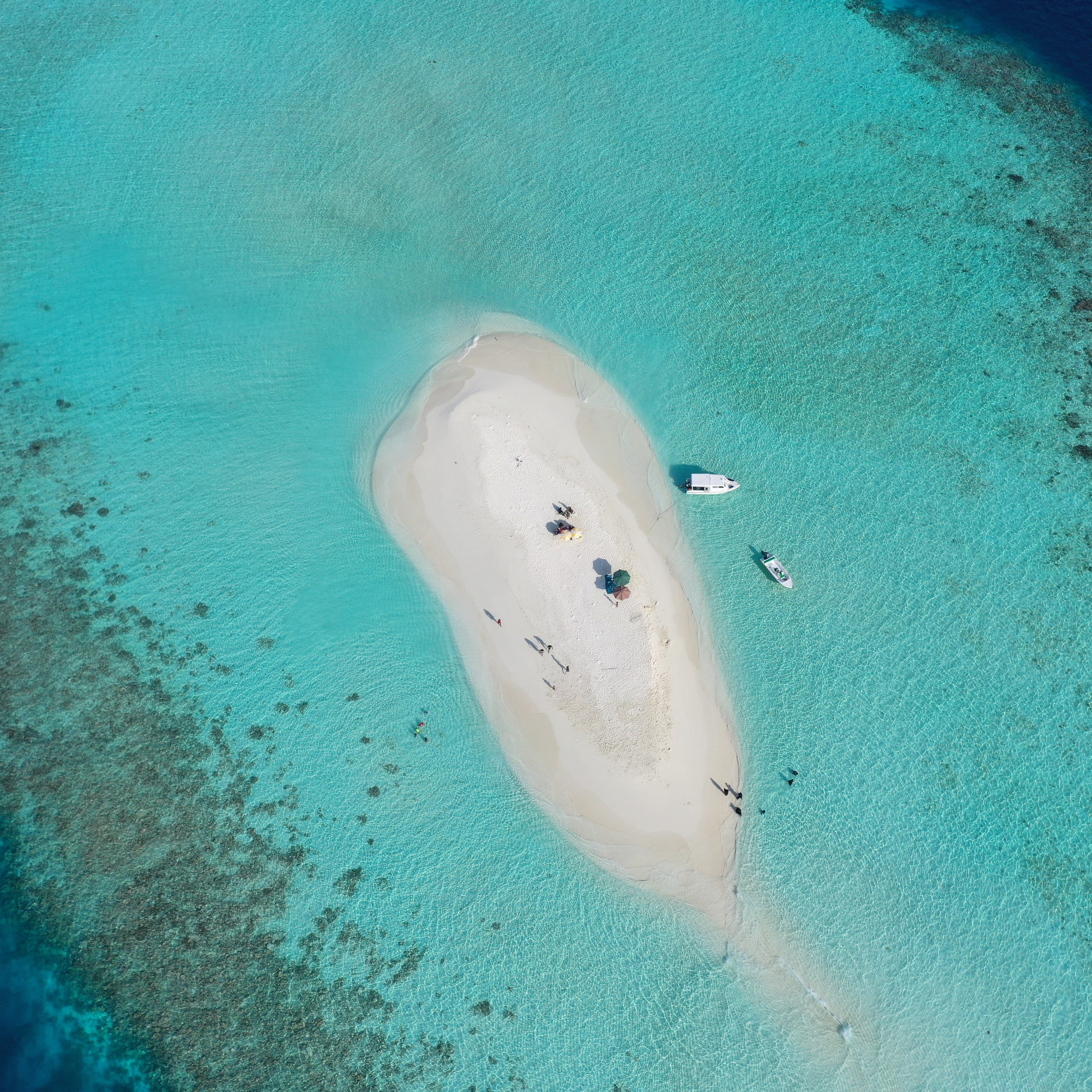 Авторские туры на Мальдивы