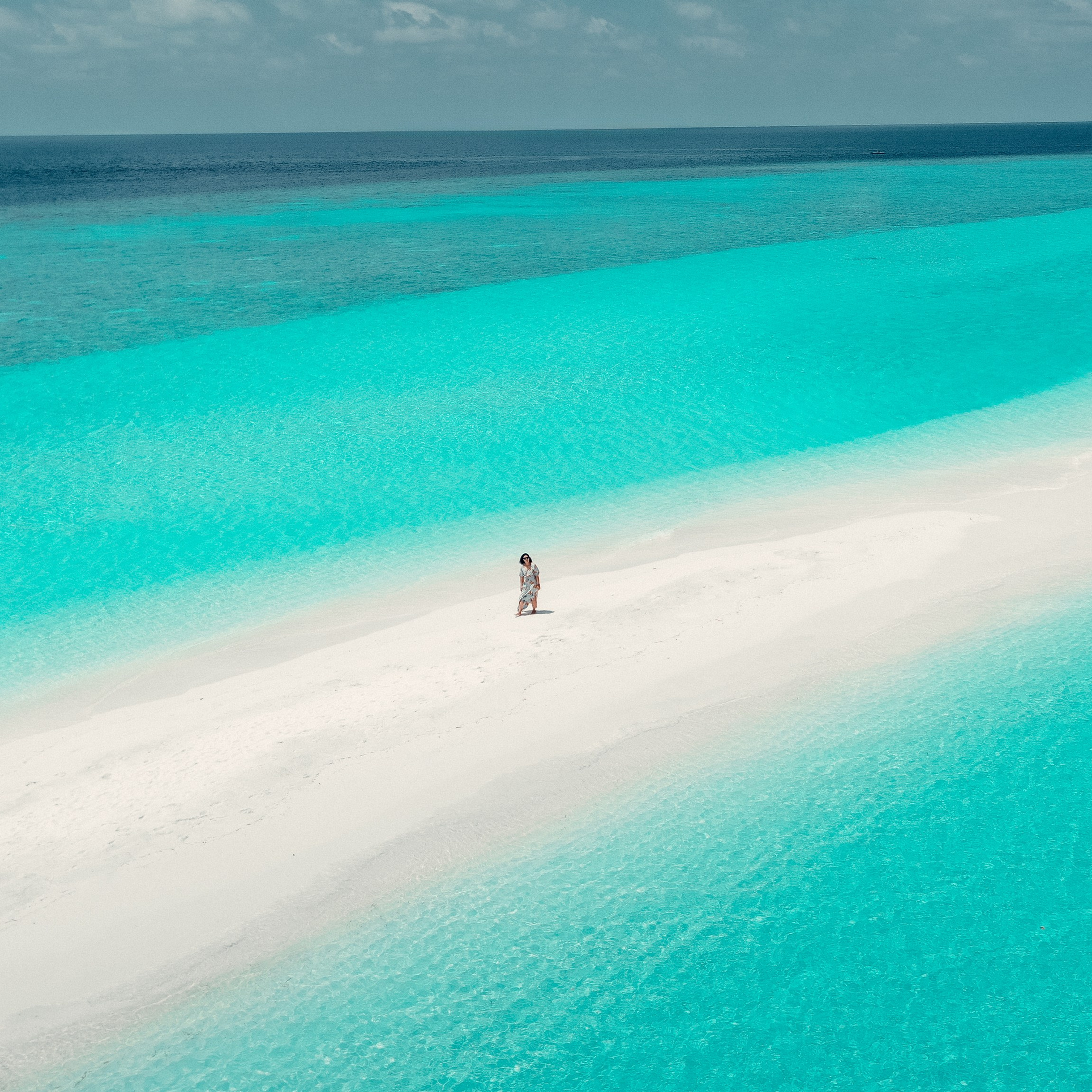 Экскурсии на АКУЛЫ ПЕСЧАНАЯ КОСА ДЕЛЬФИНЫ Мальдивы