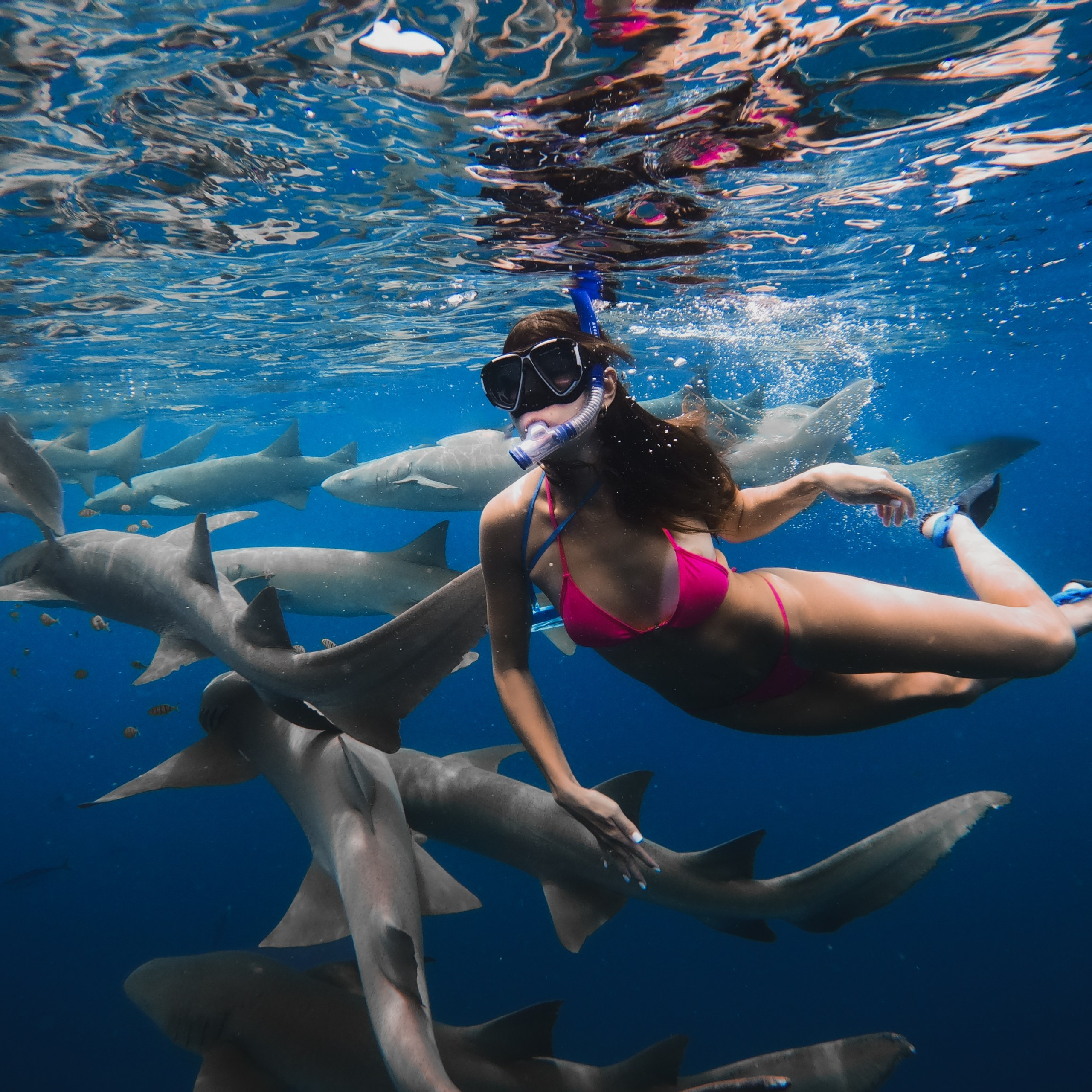 Экскурсии на АКУЛЫ ПЕСЧАНАЯ КОСА ДЕЛЬФИНЫ Мальдивы