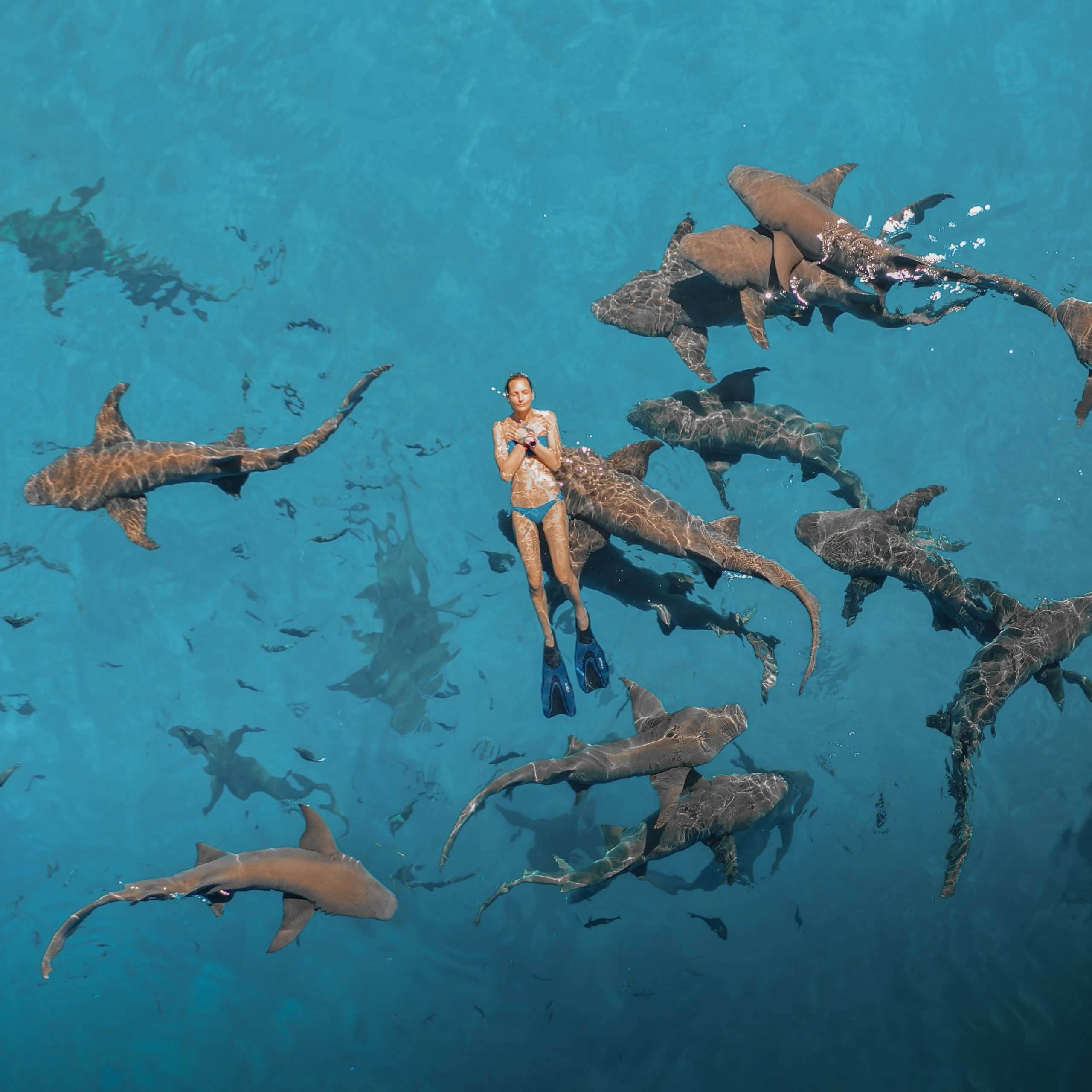 Туристическое агентство на Мальдивах — АЛГА