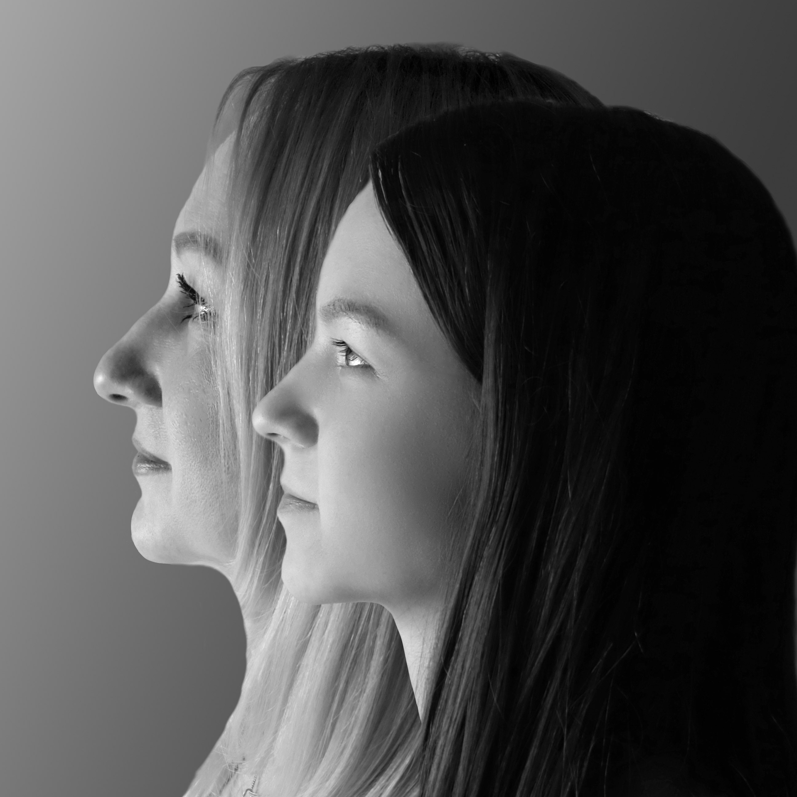 семейный портрет, портрет на холсте Барнаул, подарок Барнаул, идеи подарков Барнаул, идеи подарков на годовщину Барнаул, идеи подарков на день рождения Барнаул, портрет семьи в профиль Барнаул