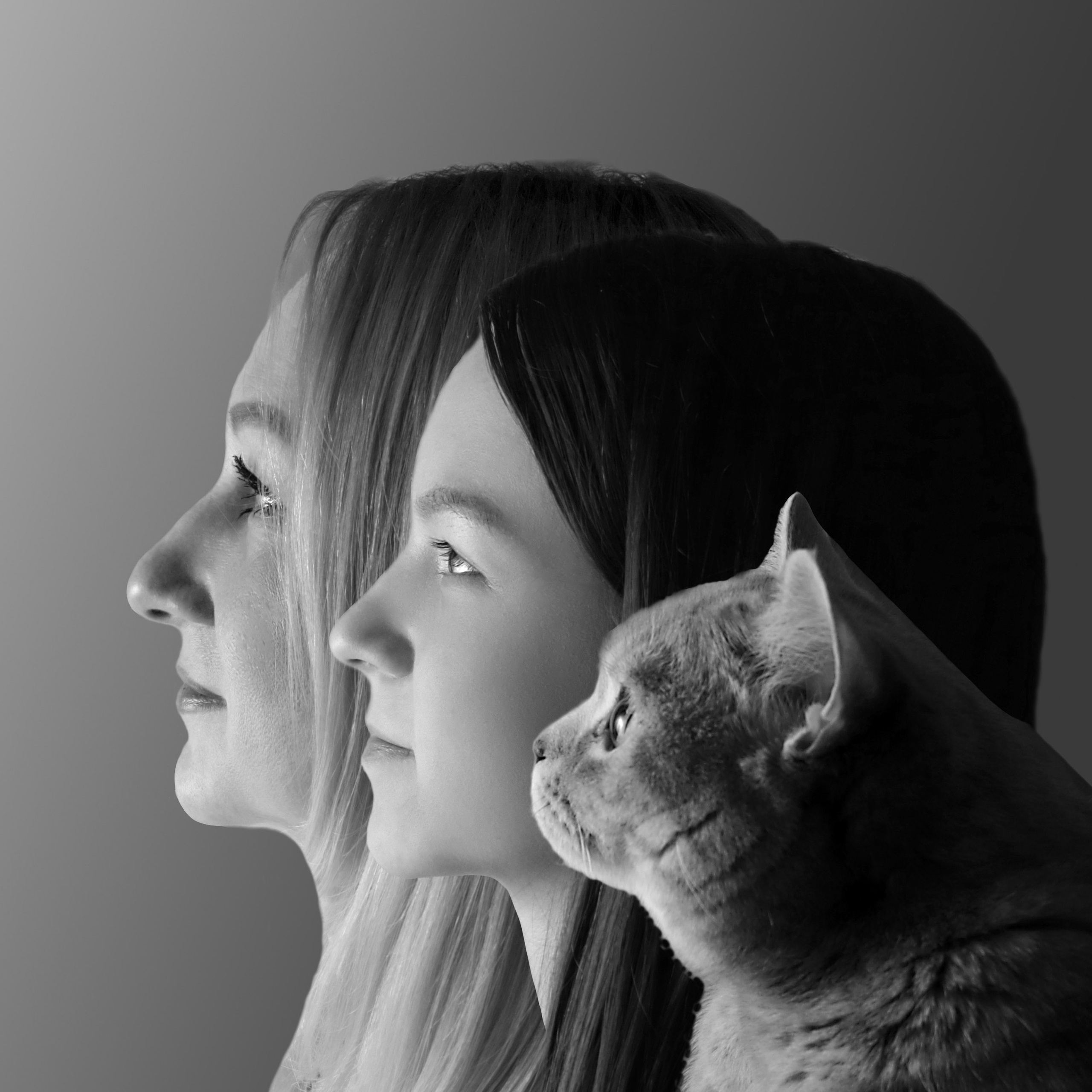 семейный портрет, портрет на холсте Барнаул, подарок Барнаул, идеи подарков Барнаул, идеи подарков на годовщину Барнаул, идеи подарков на день рождения Барнаул, портрет семьи в профиль Барнаул