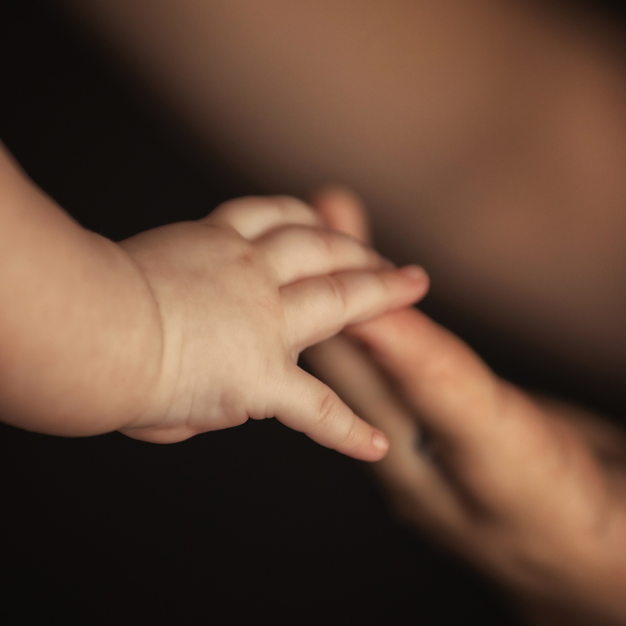 Домашние съёмки