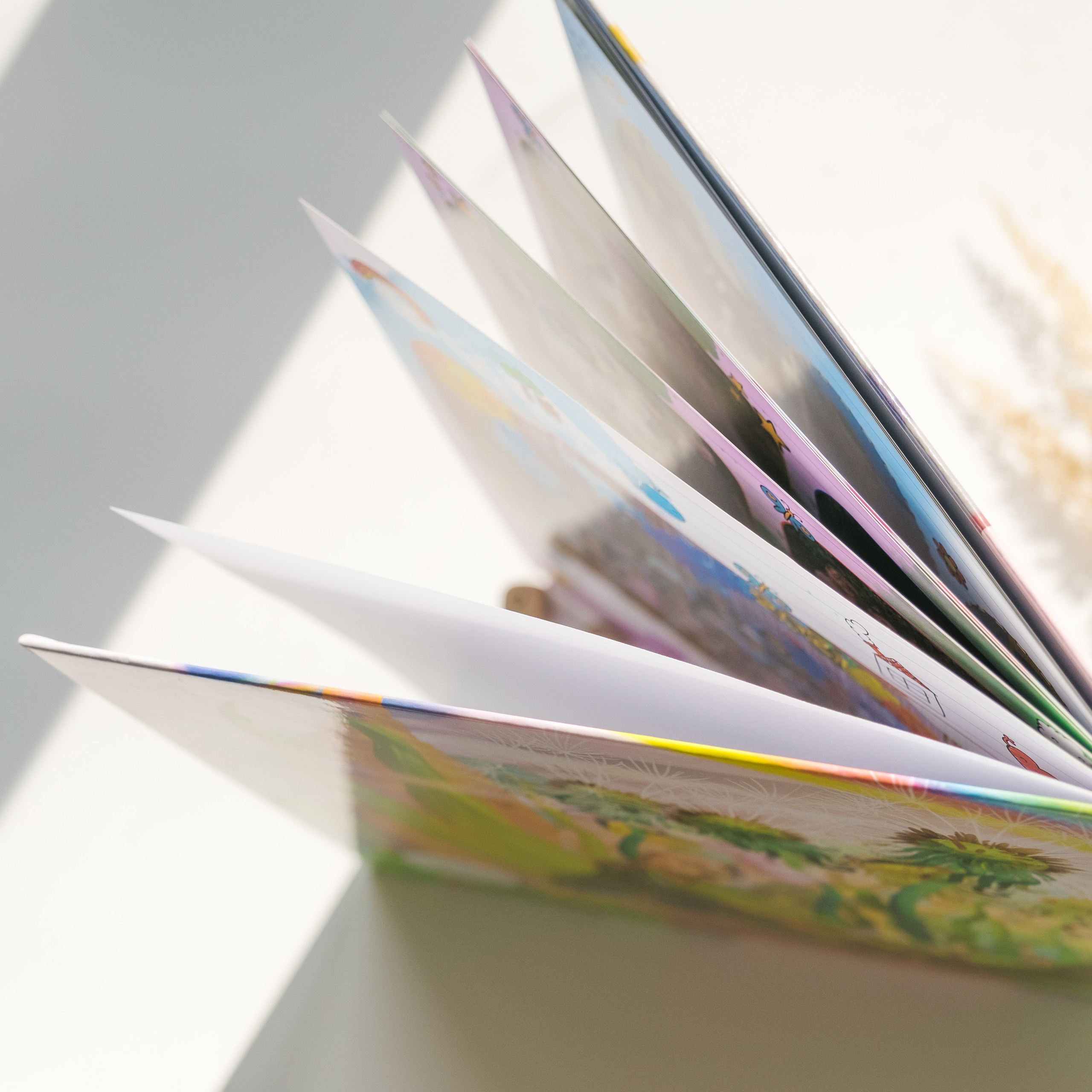 Лайт «Краски». Выпускные альбомы «Окейкнига»