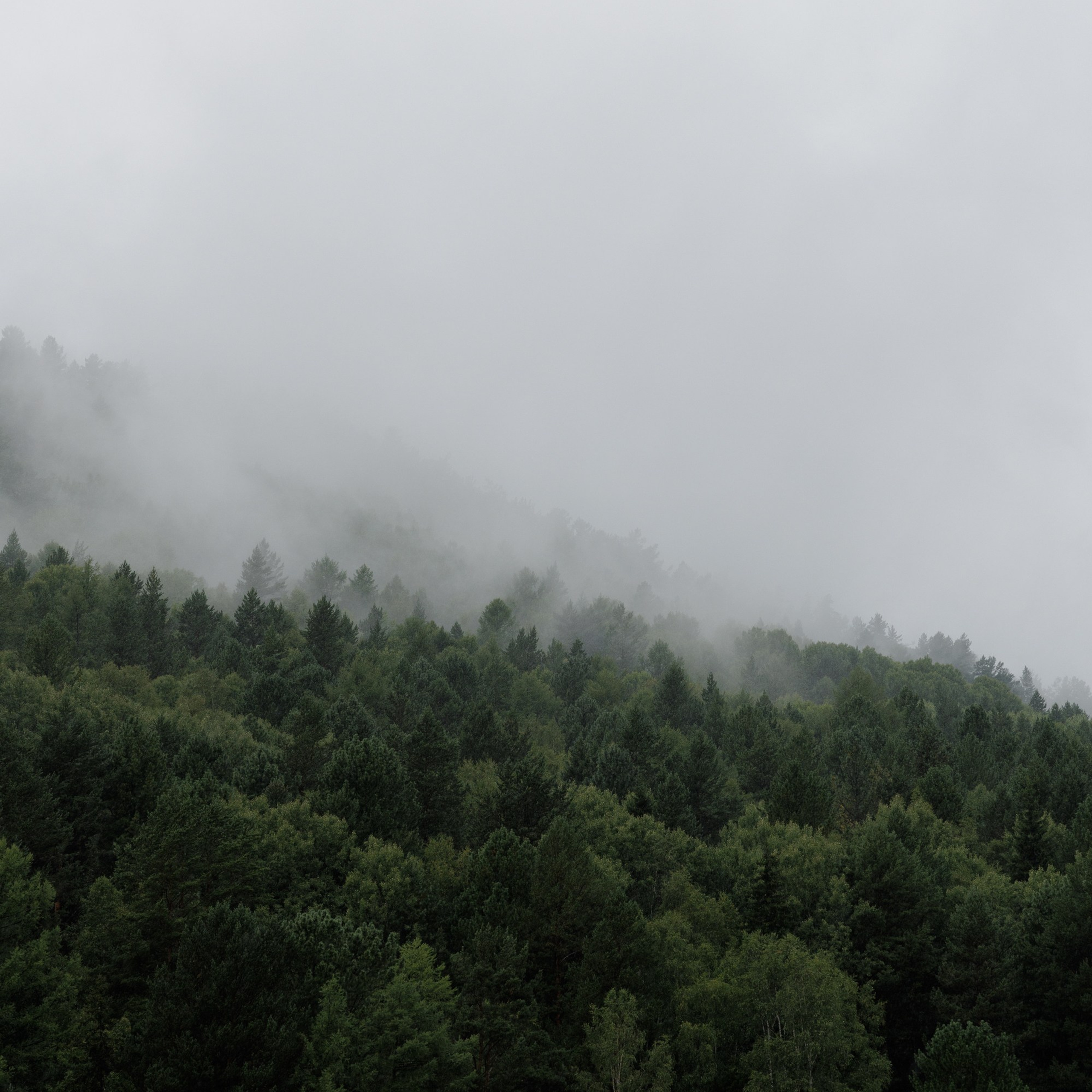 Захар и Виктория