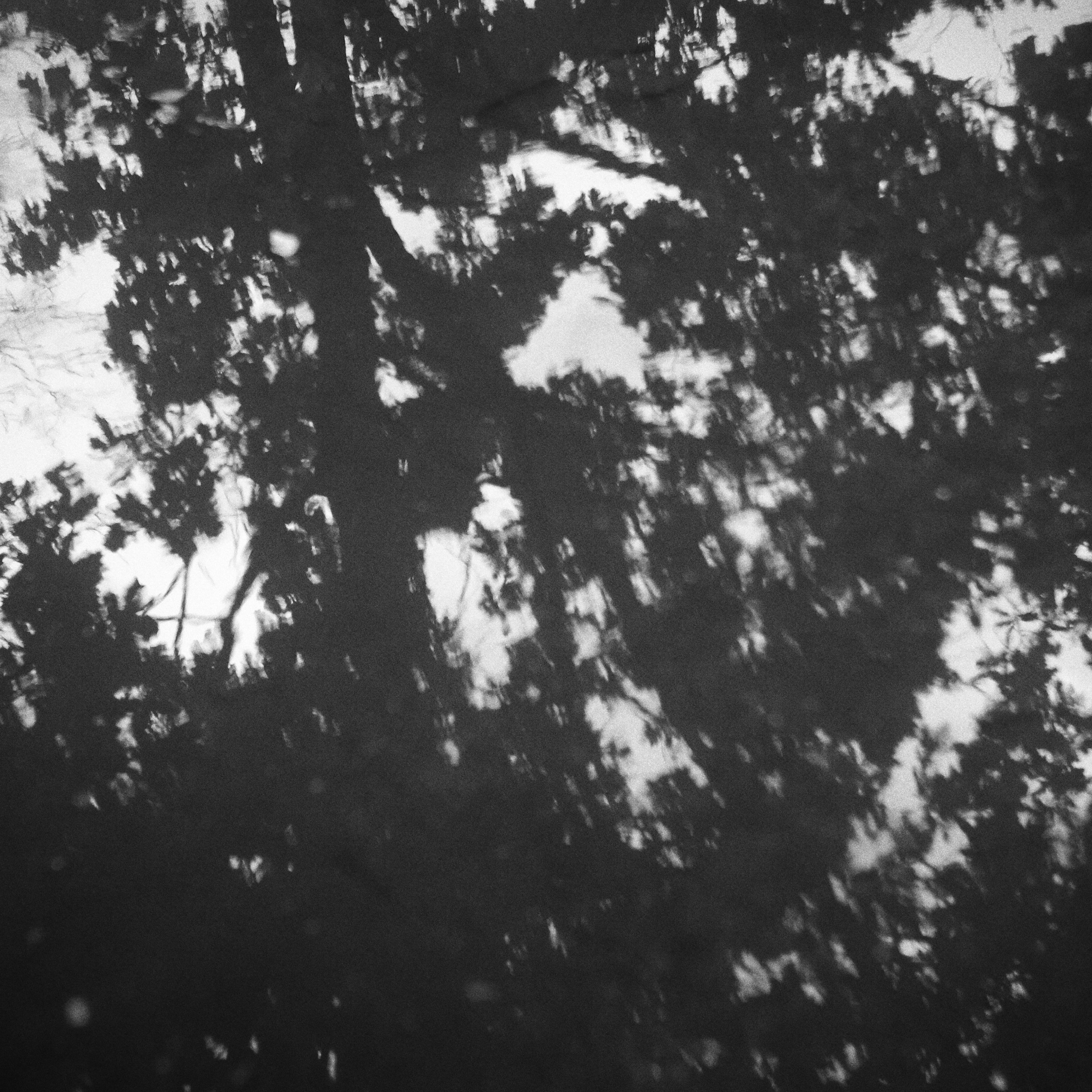 Bardo. Роман Ходырев — эзотериолог, художник, фотограф и музыкант. Санкт-Петербург, Рига