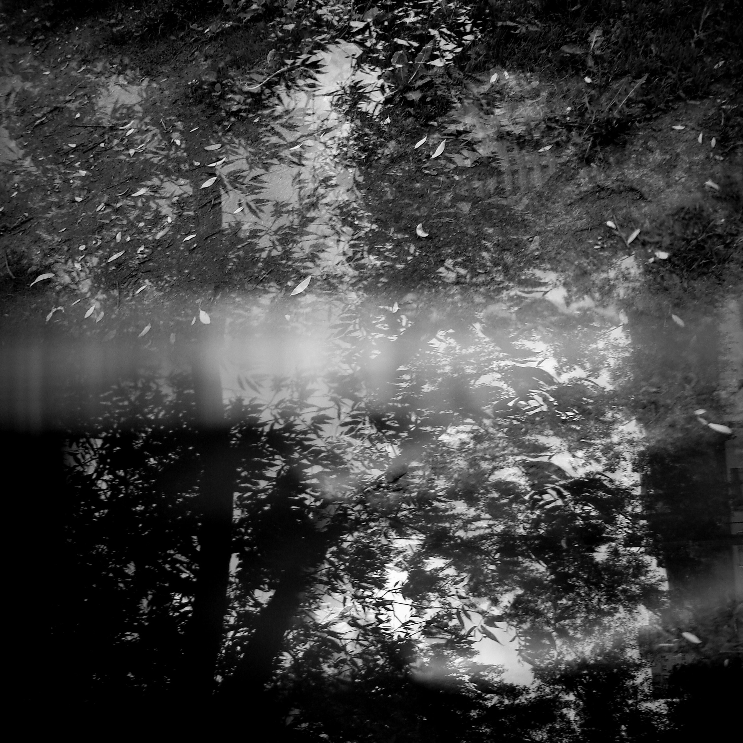 Bardo. Роман Ходырев — эзотериолог, художник, фотограф и музыкант. Санкт-Петербург, Рига