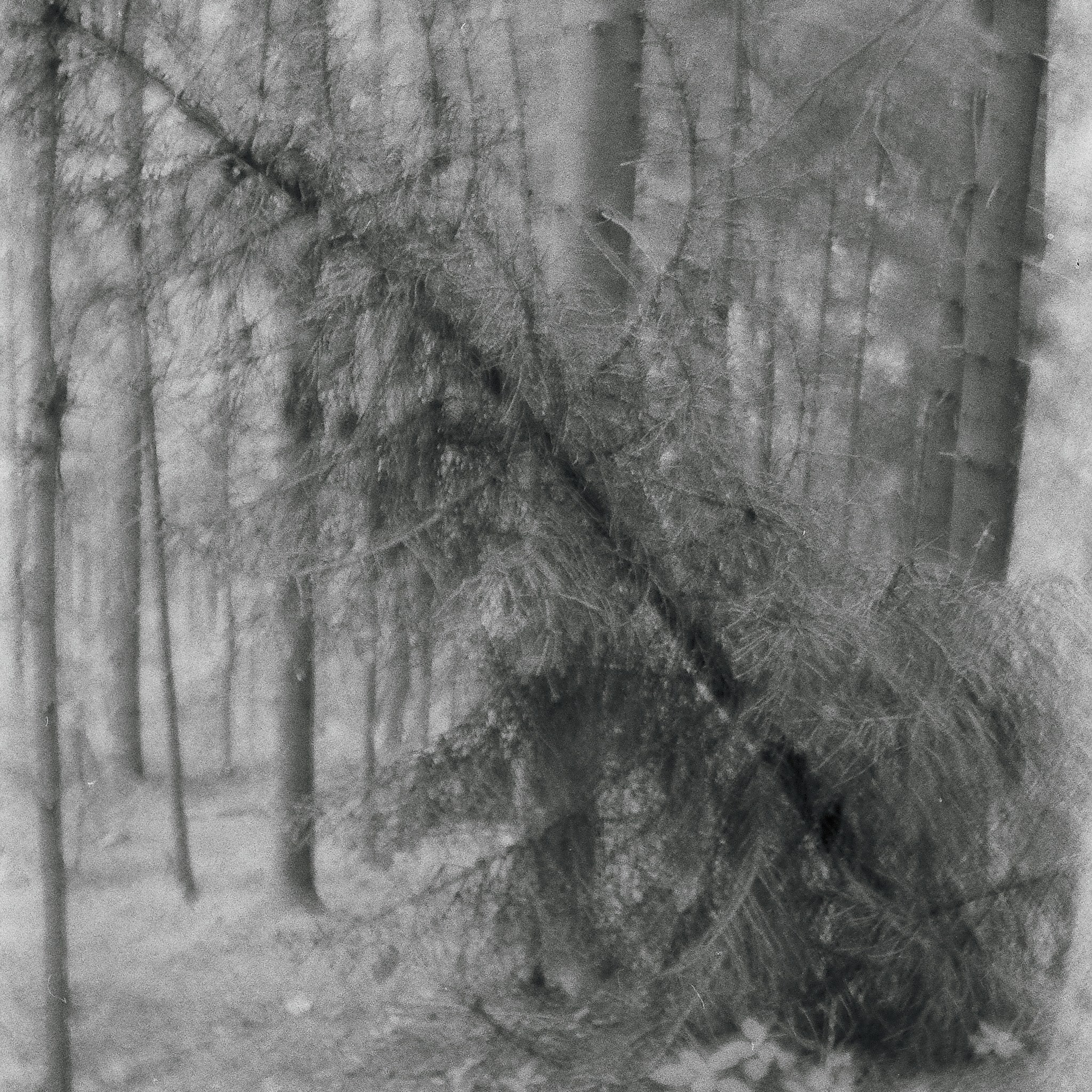 Bardo. Роман Ходырев — эзотериолог, художник, фотограф и музыкант. Санкт-Петербург, Рига