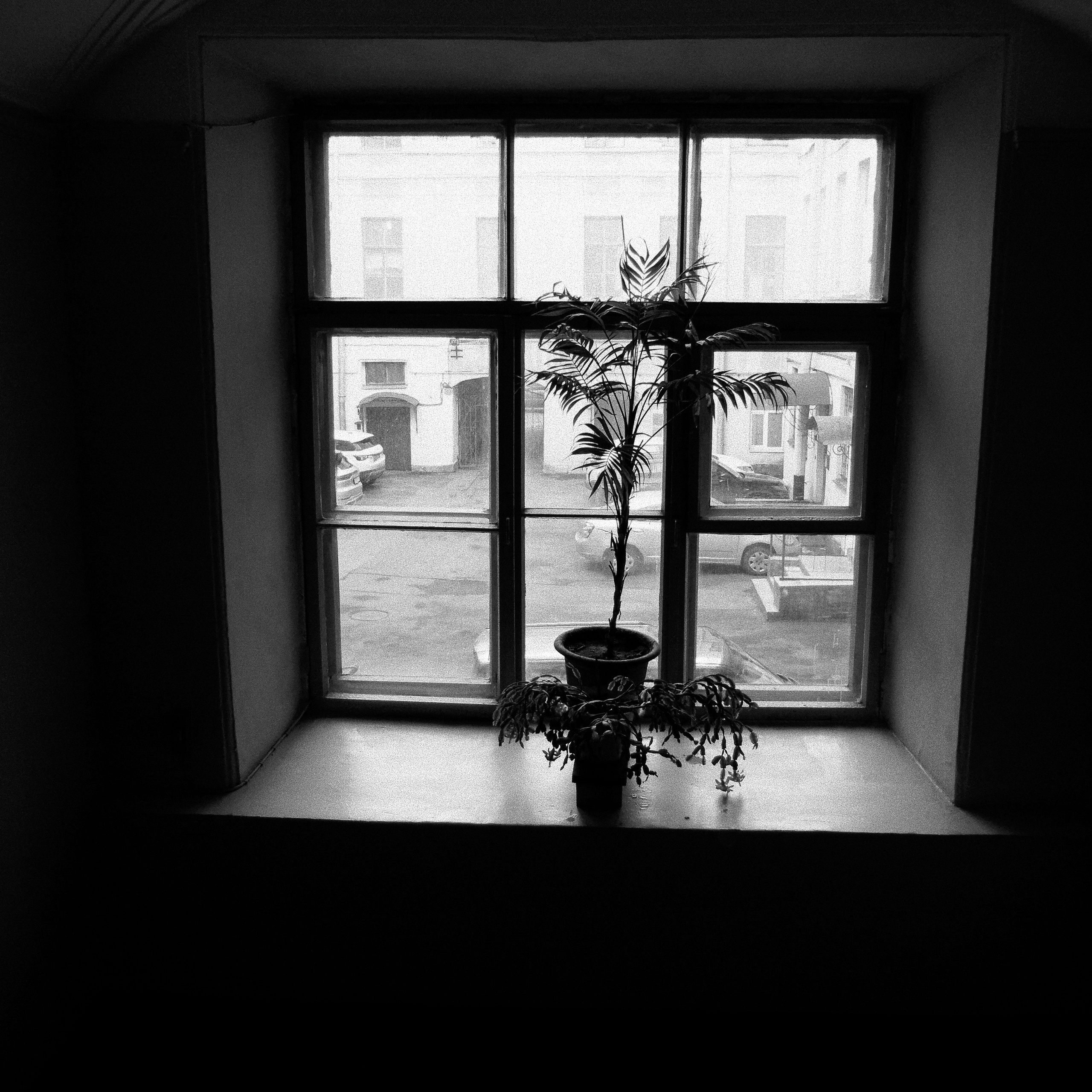 Bardo. Роман Ходырев — эзотериолог, художник, фотограф и музыкант. Санкт-Петербург, Рига