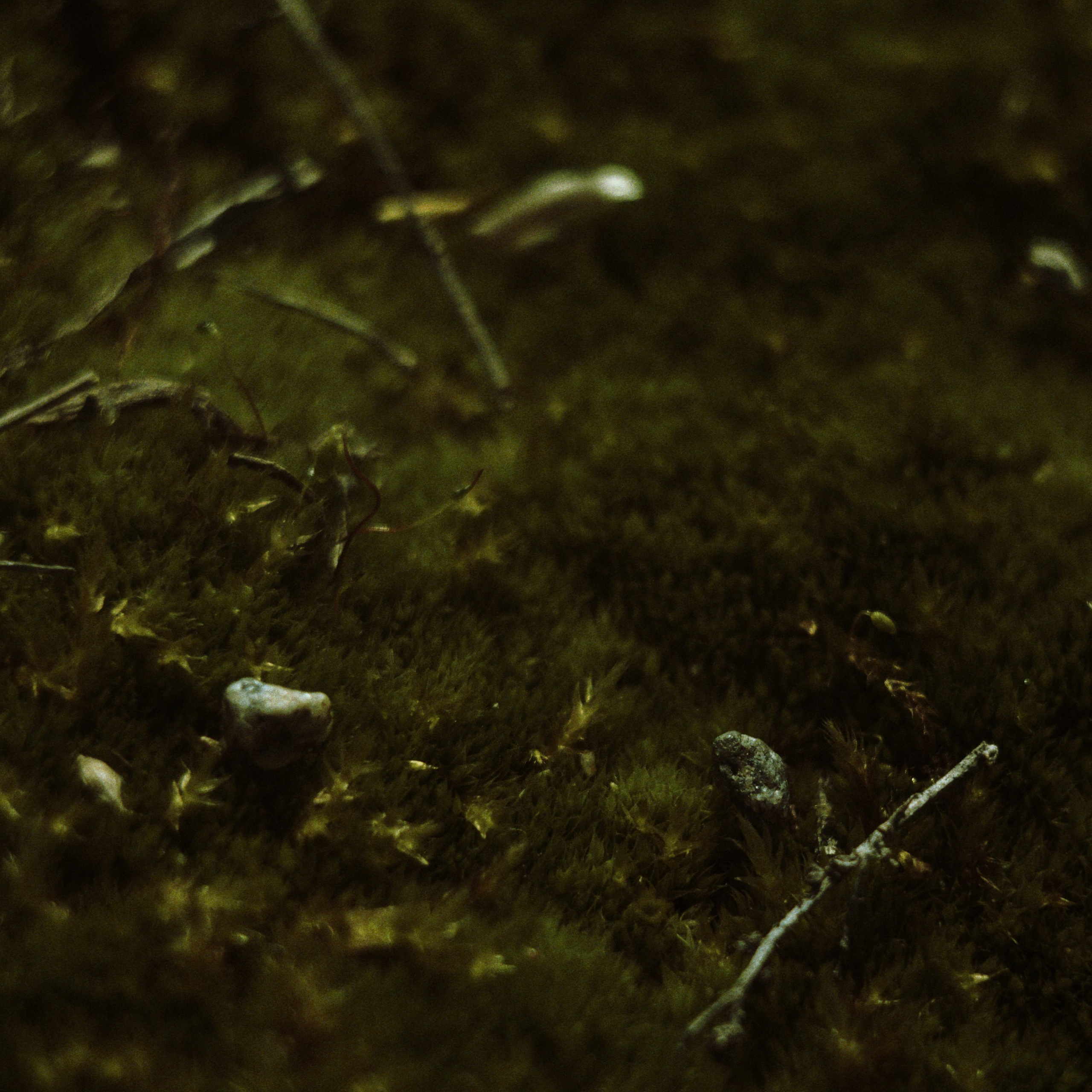 Bardo. Роман Ходырев — эзотериолог, художник, фотограф и музыкант. Санкт-Петербург, Рига