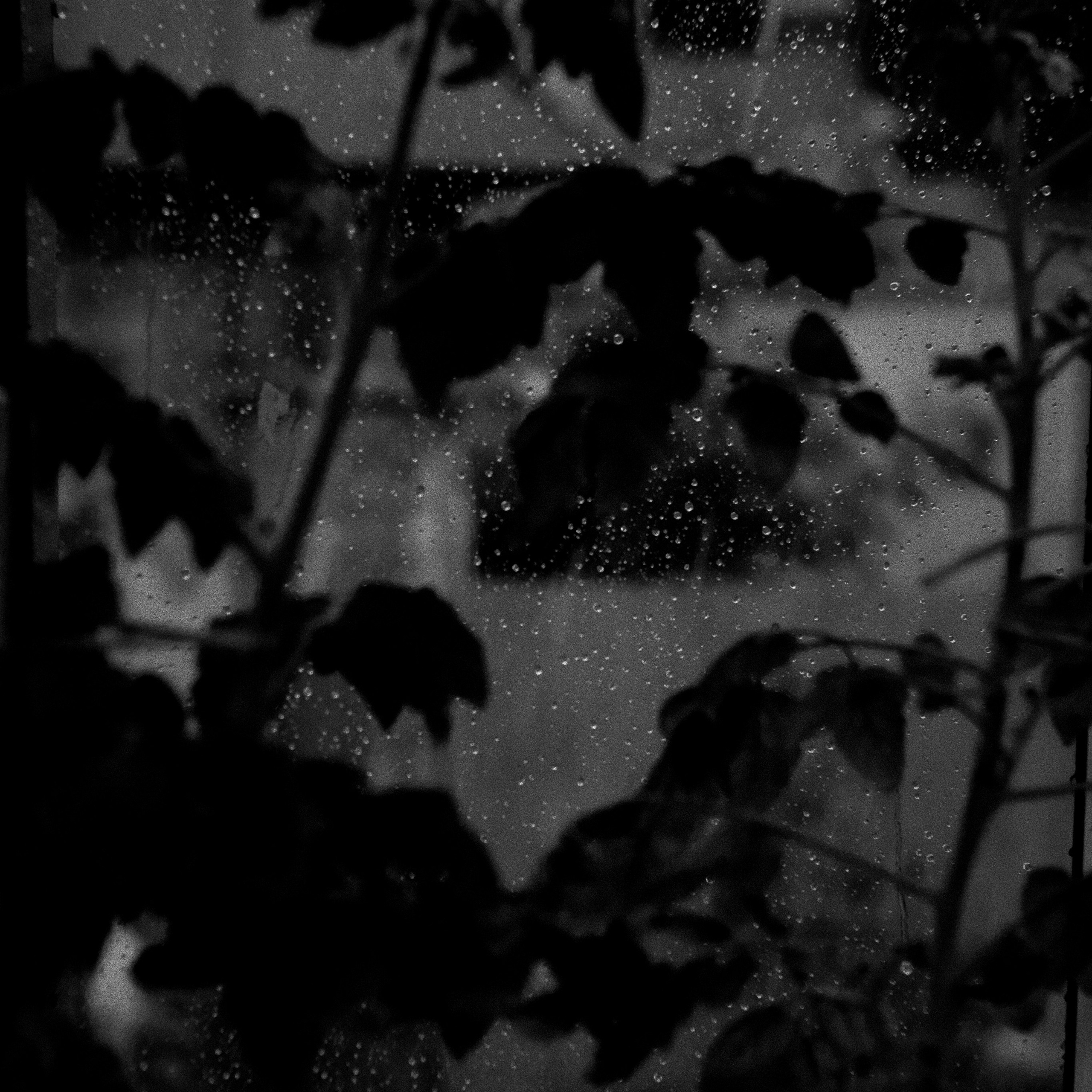 Bardo. Роман Ходырев — эзотериолог, художник, фотограф и музыкант. Санкт-Петербург, Рига