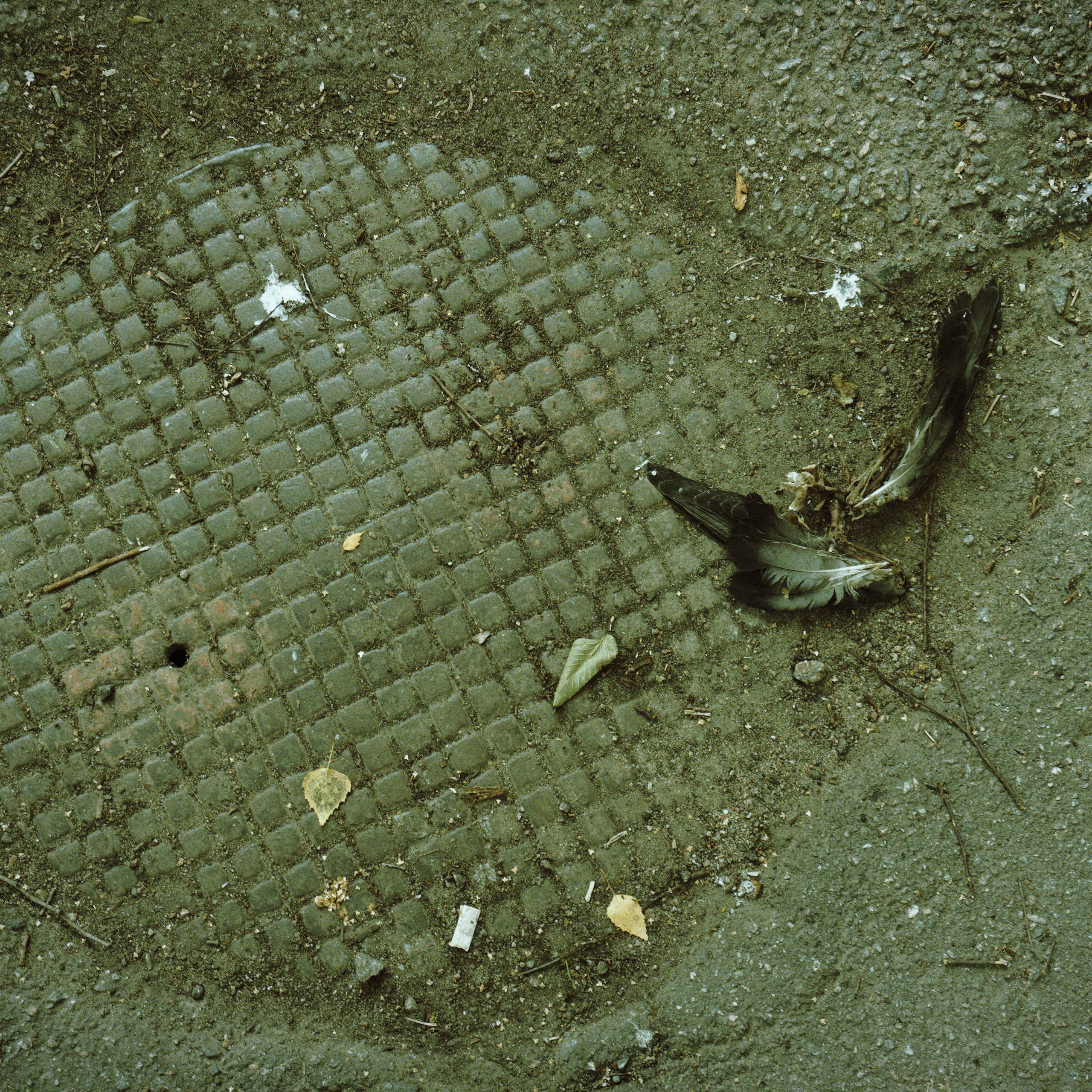 Sleeping Samurai /Спящий Самурай. Roman Hodirev is an esoteriologist, multidisciplinary artist, photographer and musician. Saint Petersburg, Riga