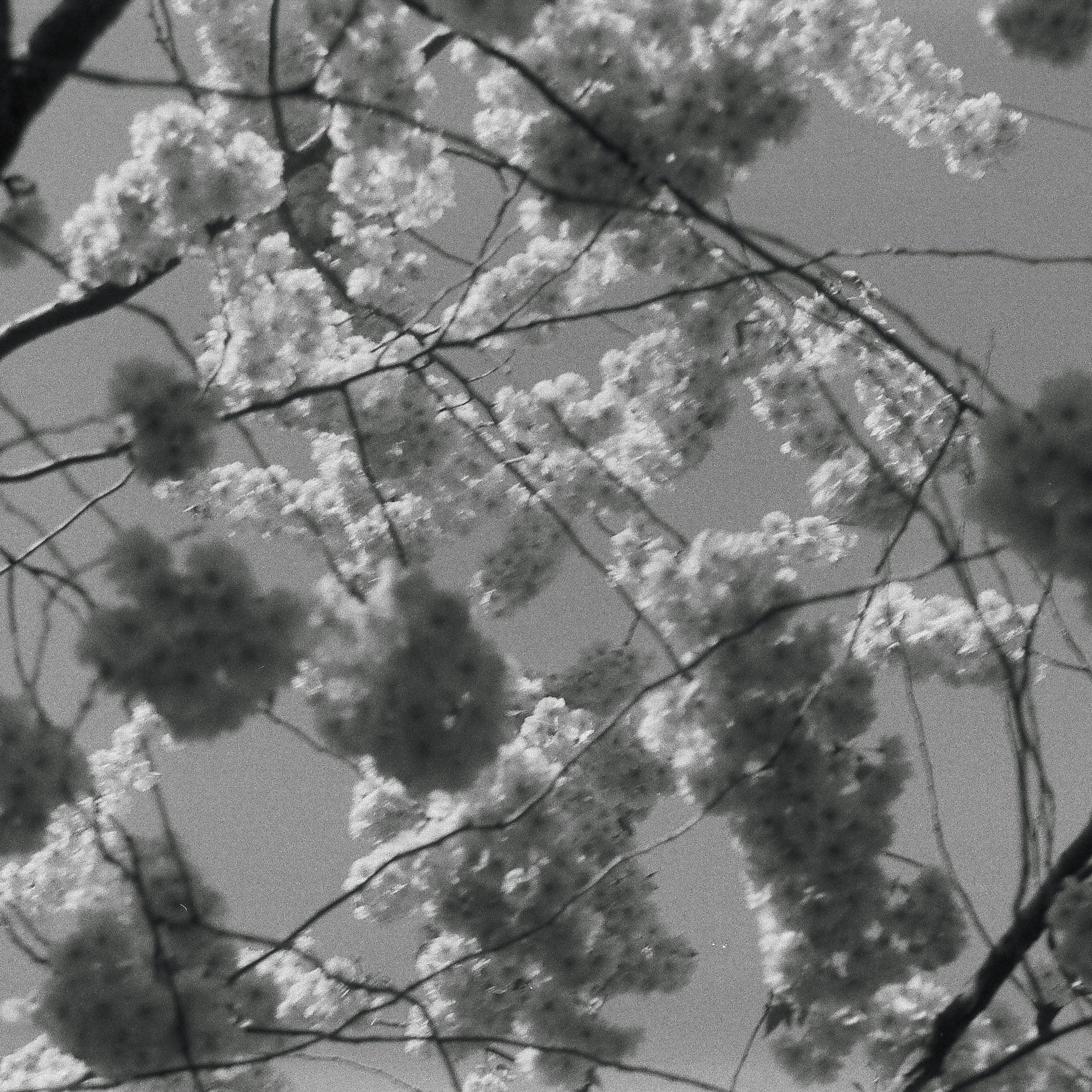 Bardo. Роман Ходырев — эзотериолог, художник, фотограф и музыкант. Санкт-Петербург, Рига