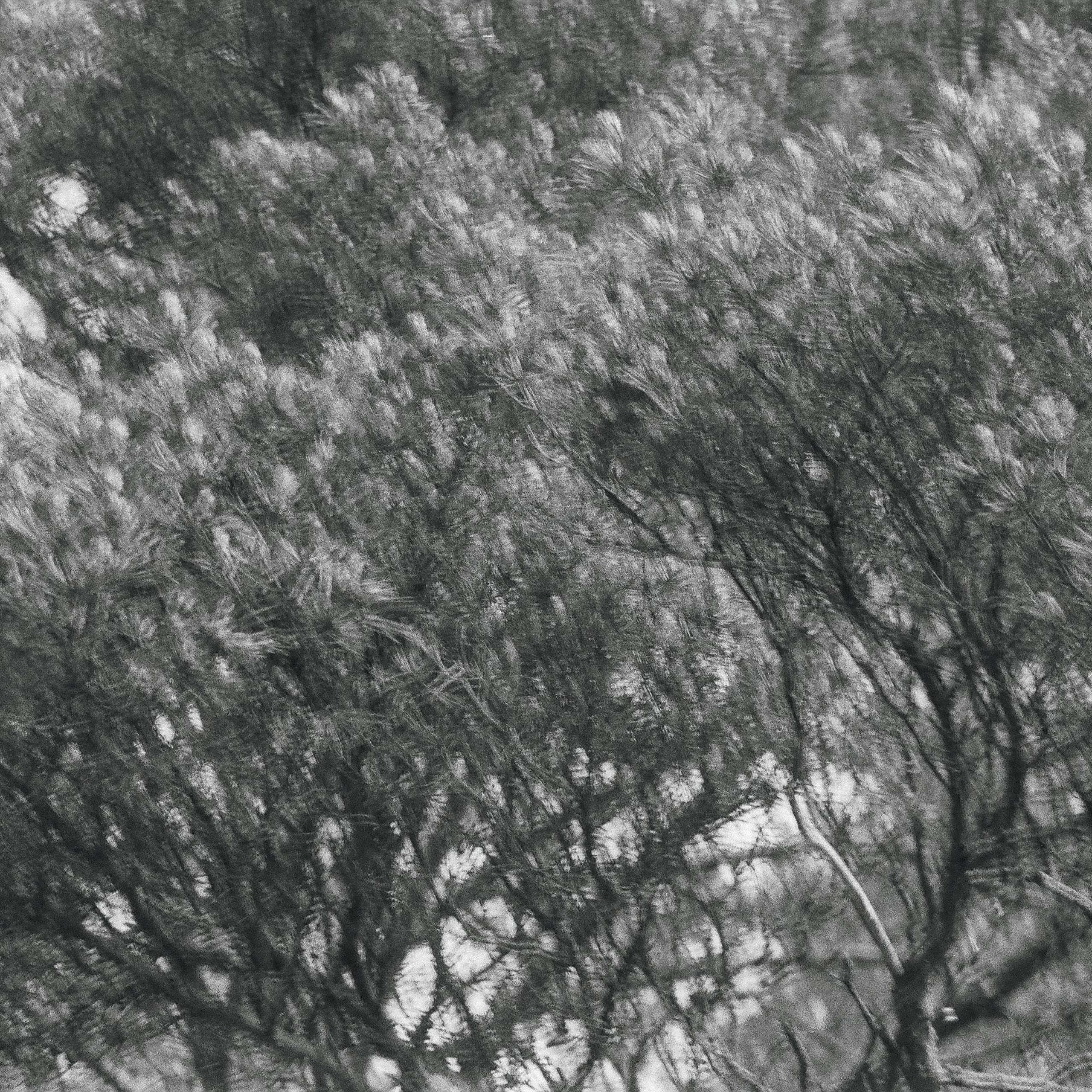 Bardo. Роман Ходырев — эзотериолог, художник, фотограф и музыкант. Санкт-Петербург, Рига