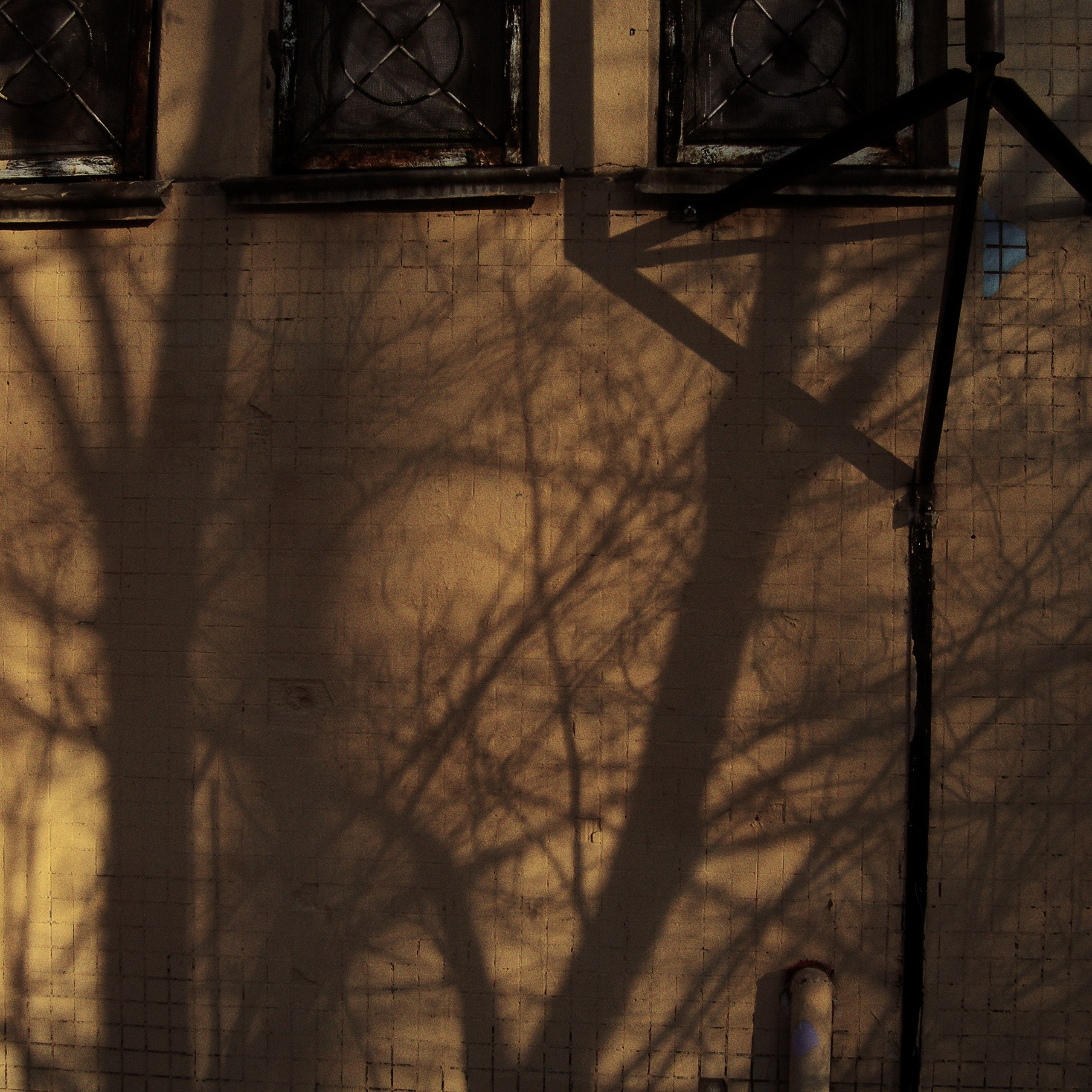 Bardo. Роман Ходырев — эзотериолог, художник, фотограф и музыкант. Санкт-Петербург, Рига